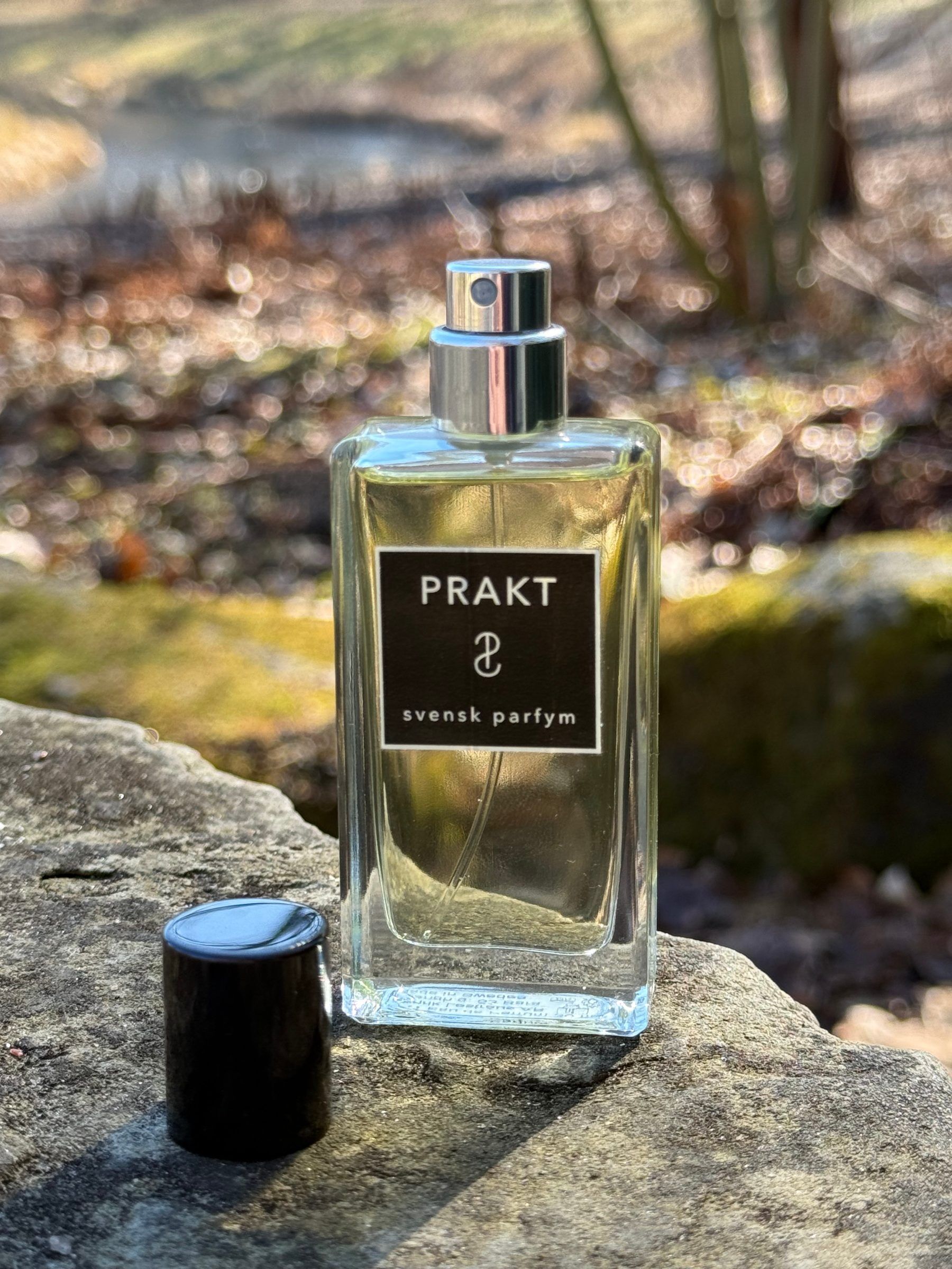 Prakt stood on a rock