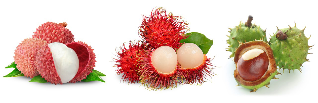 Lychee: In Life and Perfume ~ Raw Materials