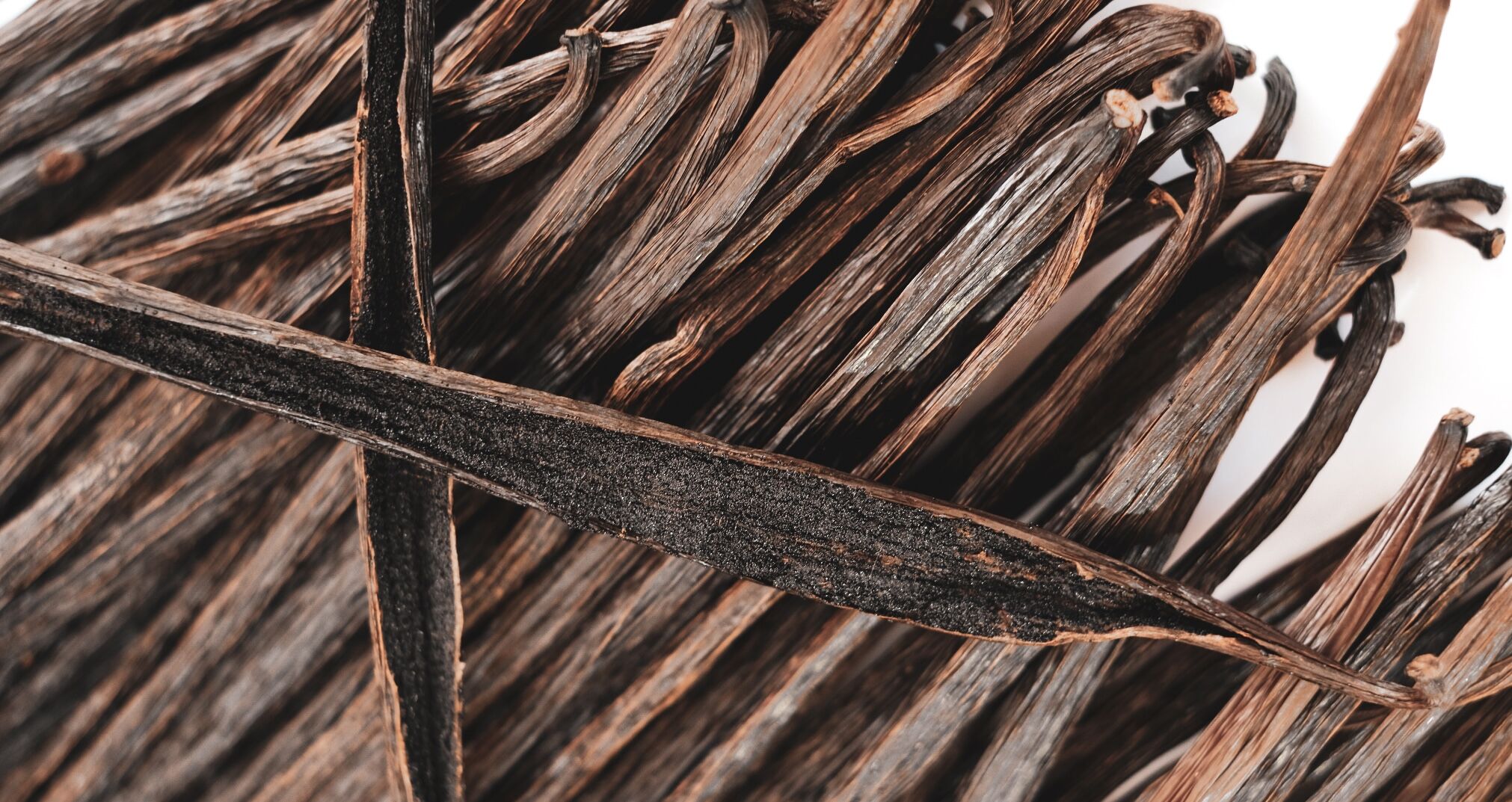 14 Juillet от Bastille Parfums: революционный аромат!