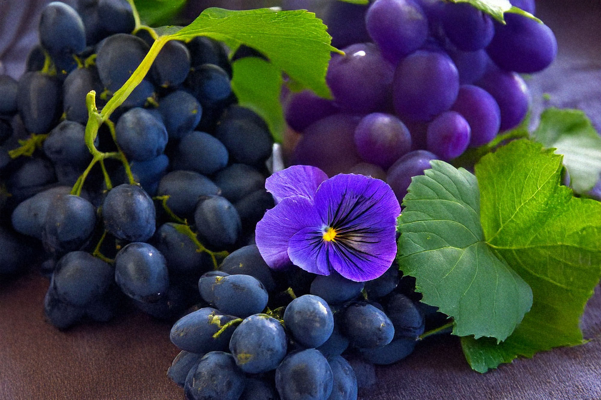 Purple grapes with violets.