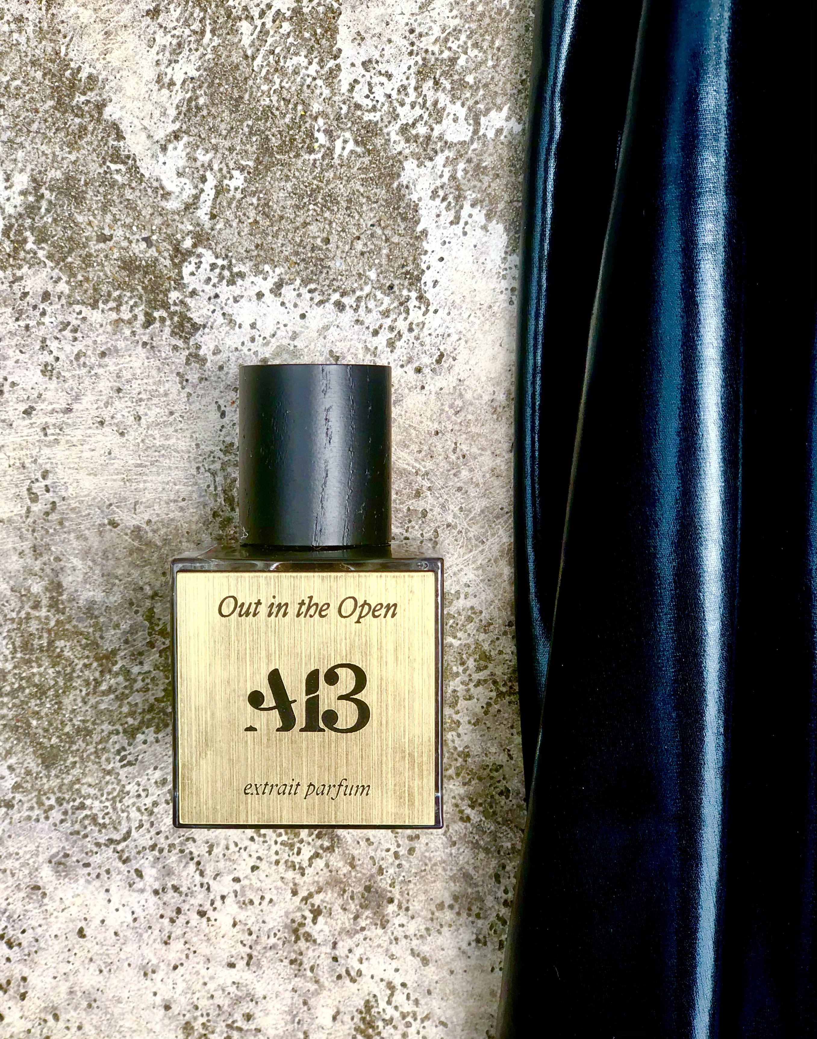 Out in the Open by A13