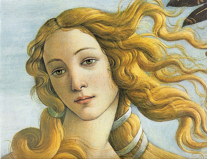 Venus head detail by Botticelli 