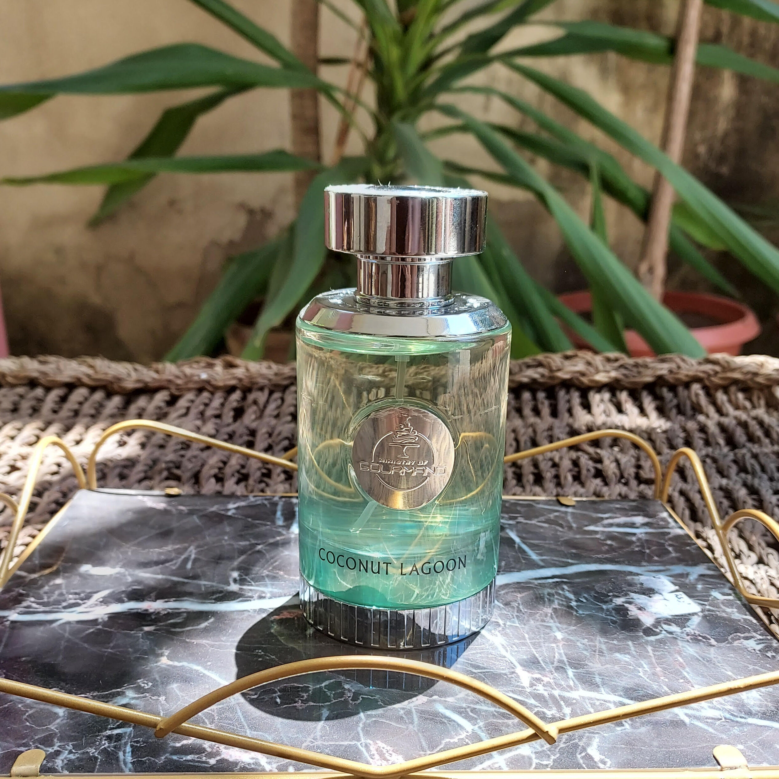 Paris Corner: Coconut Lagoon