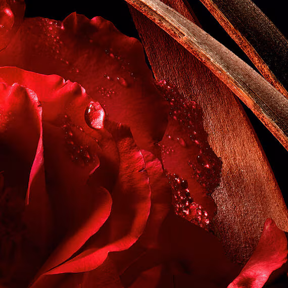 Rouge Bonheur 2026 Millésime Guerlain