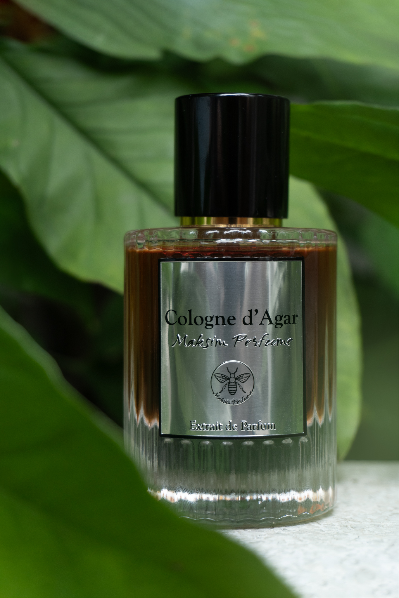 Cologne d'Agar: Maksim New Fragrance ~ New Fragrances