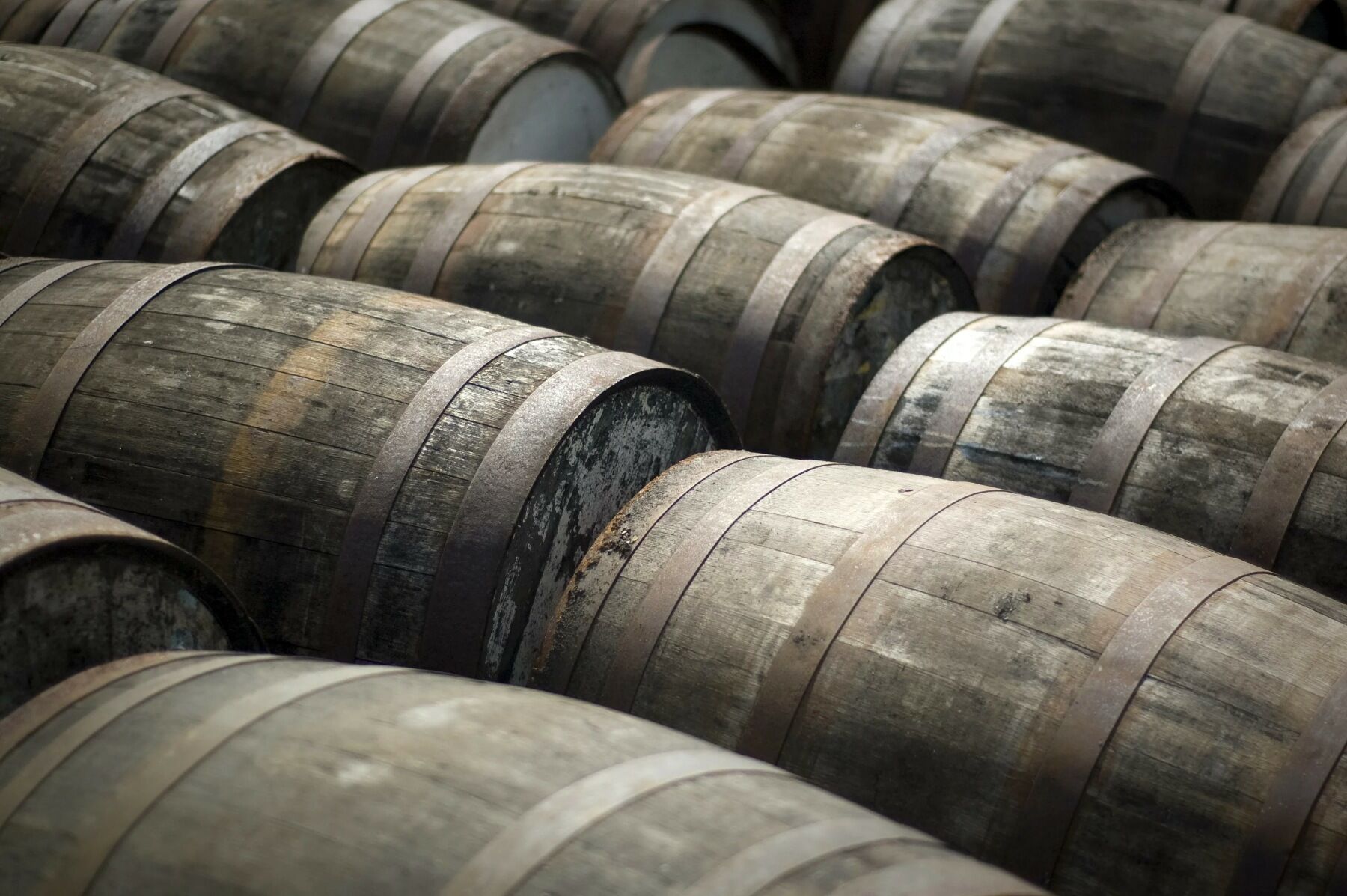 oak barrels for wine