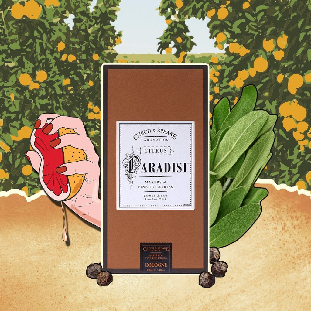 Citrus Paradisi ad photo