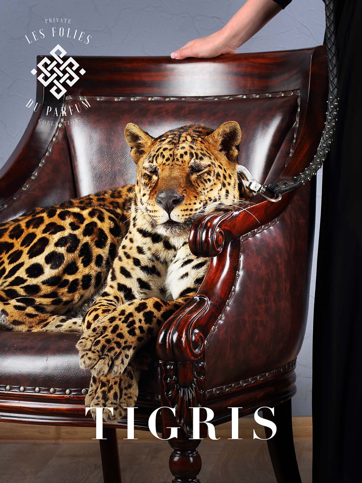 tigris les folies du parfum