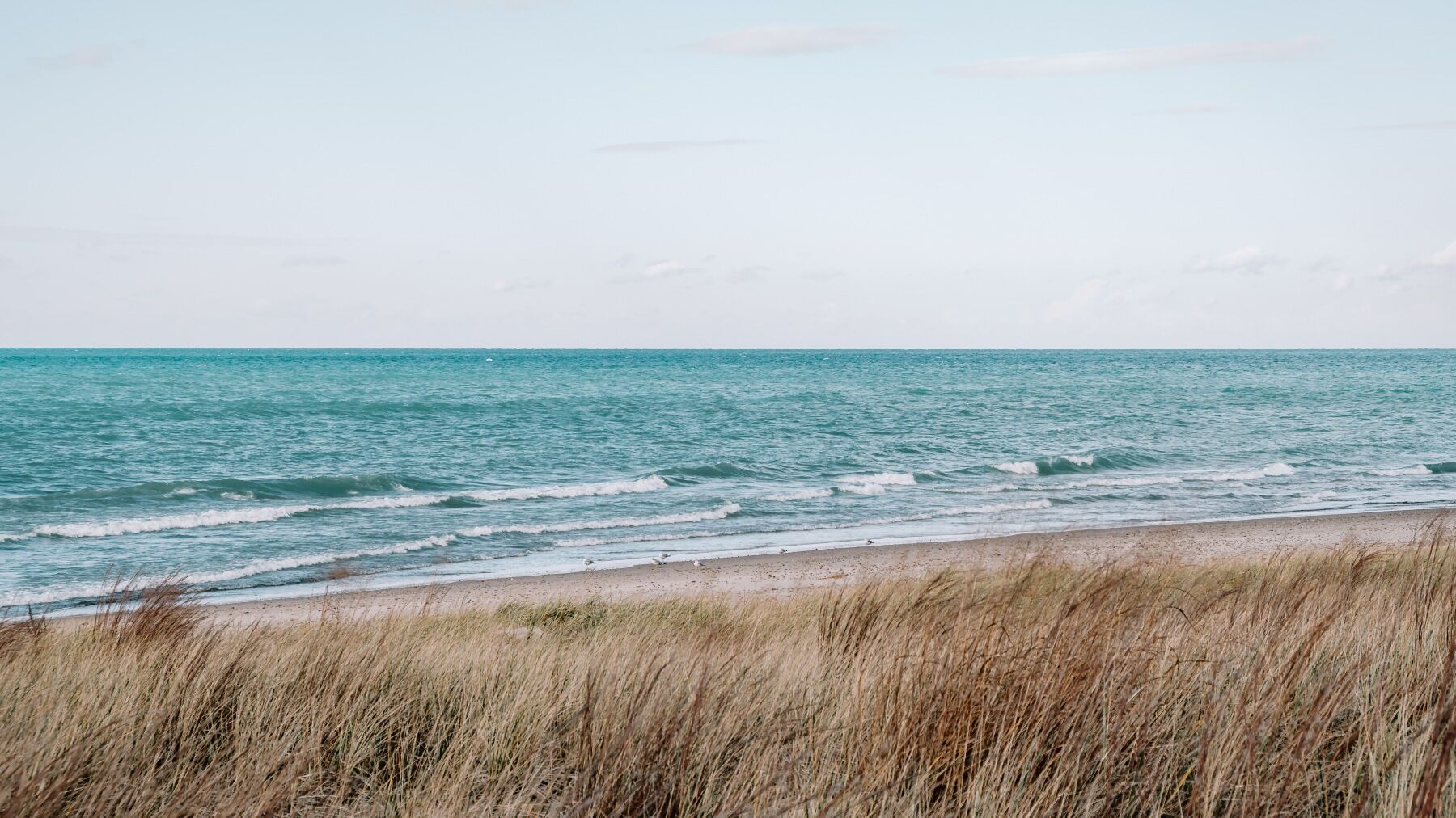 A white sandy beach, blue sky and grasses