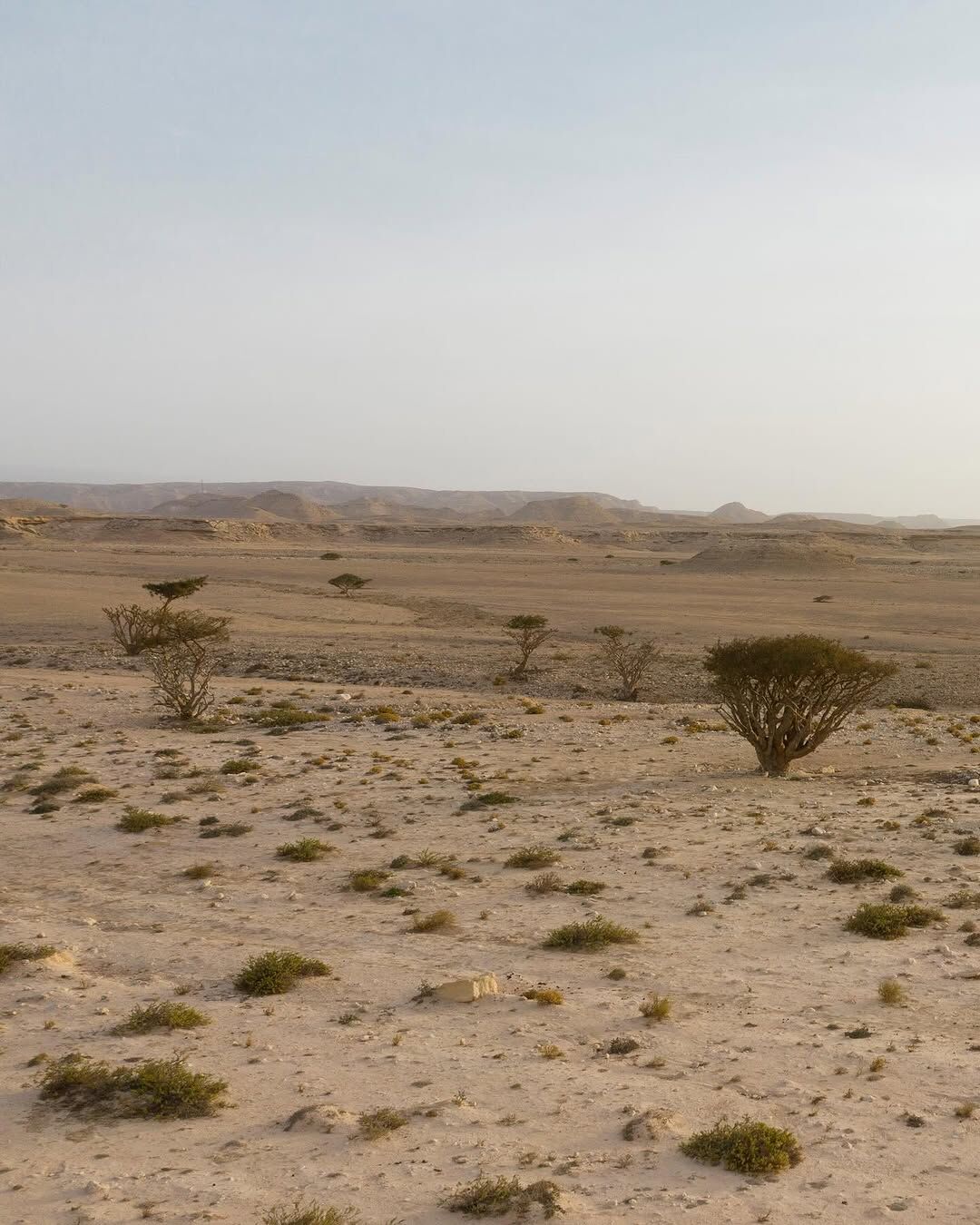 Purpose 50 by Amouage: In Search of the Perfect Incense