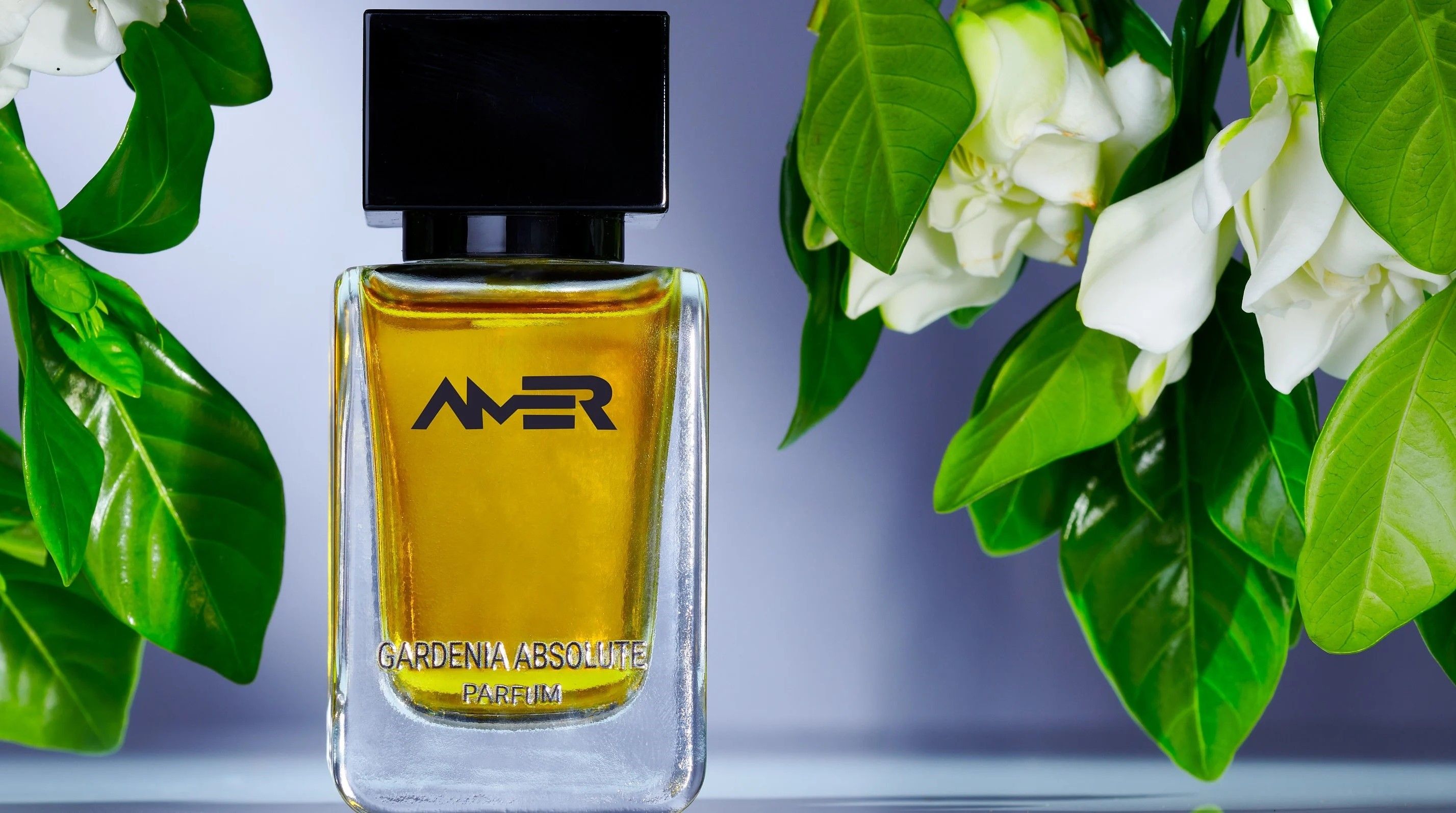 Gardenia Absolute amer perfumes
