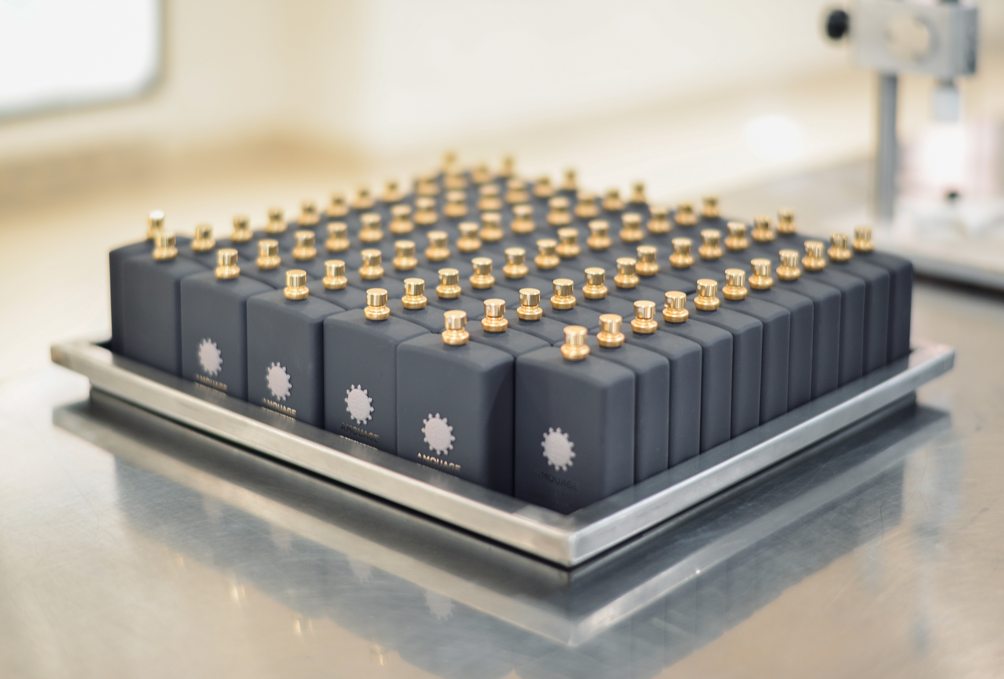 Amouage Voyage или путешествие в удивительный Оман. Часть 1. Ладан