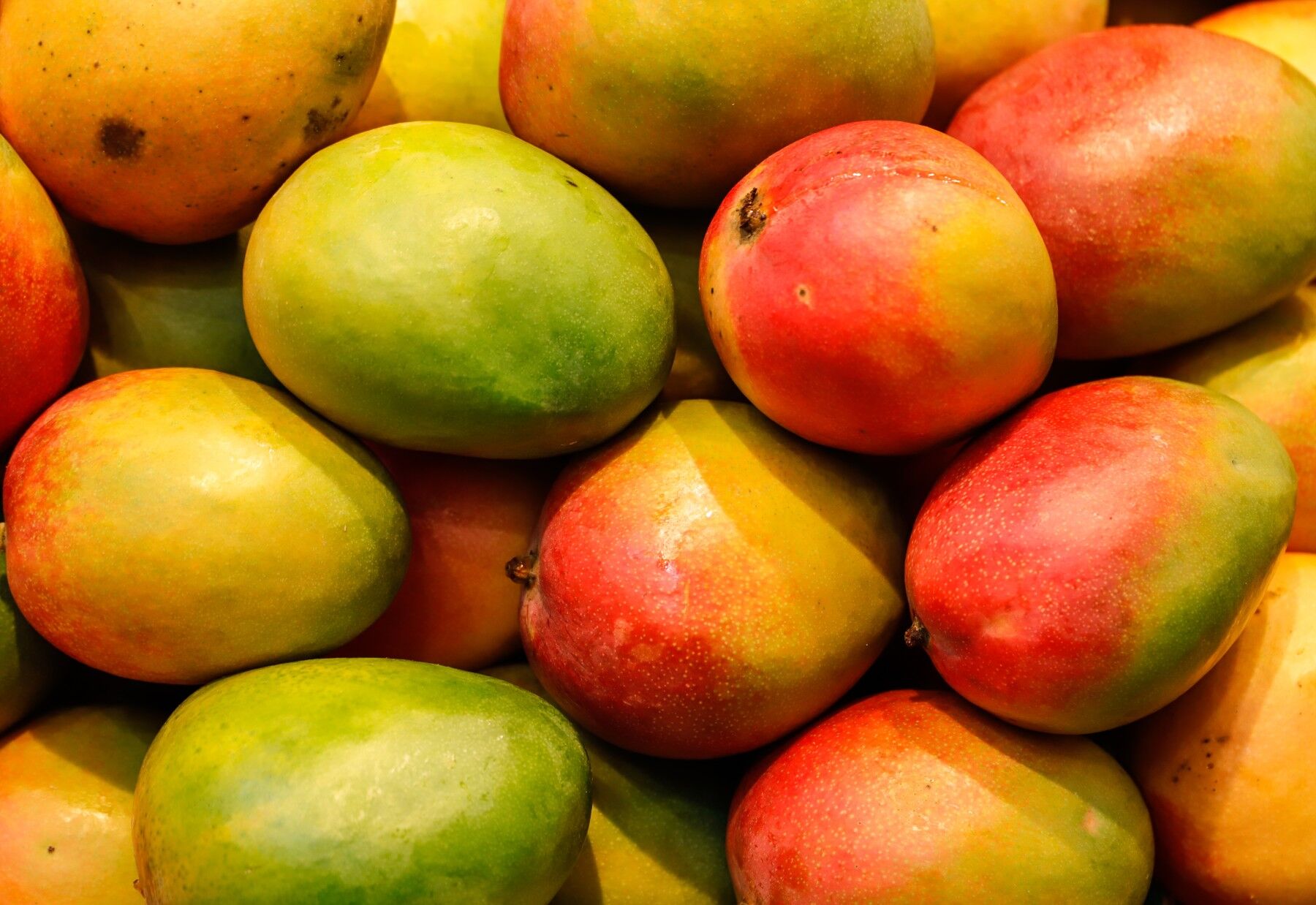 Mango fruits all piled together