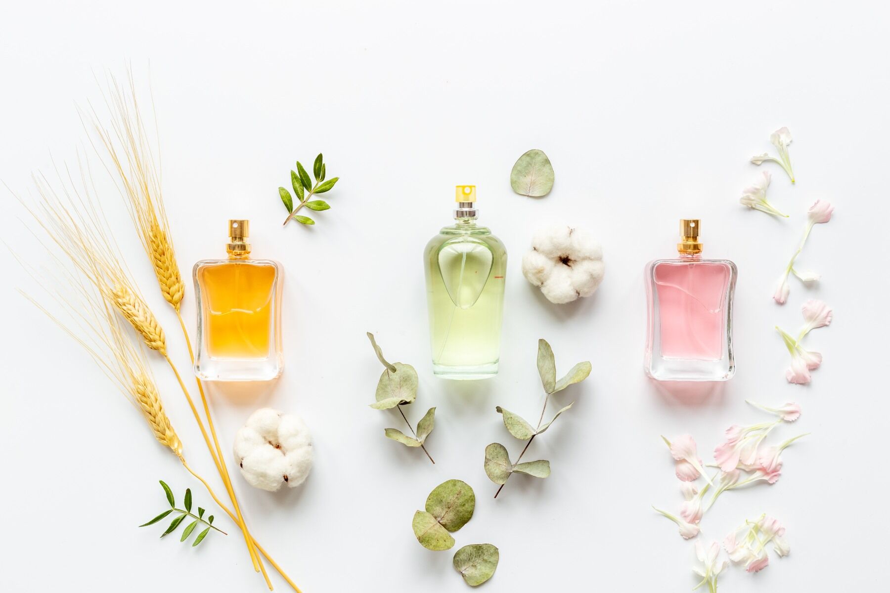 Three perfume bottles and ingredients against a white backdrop