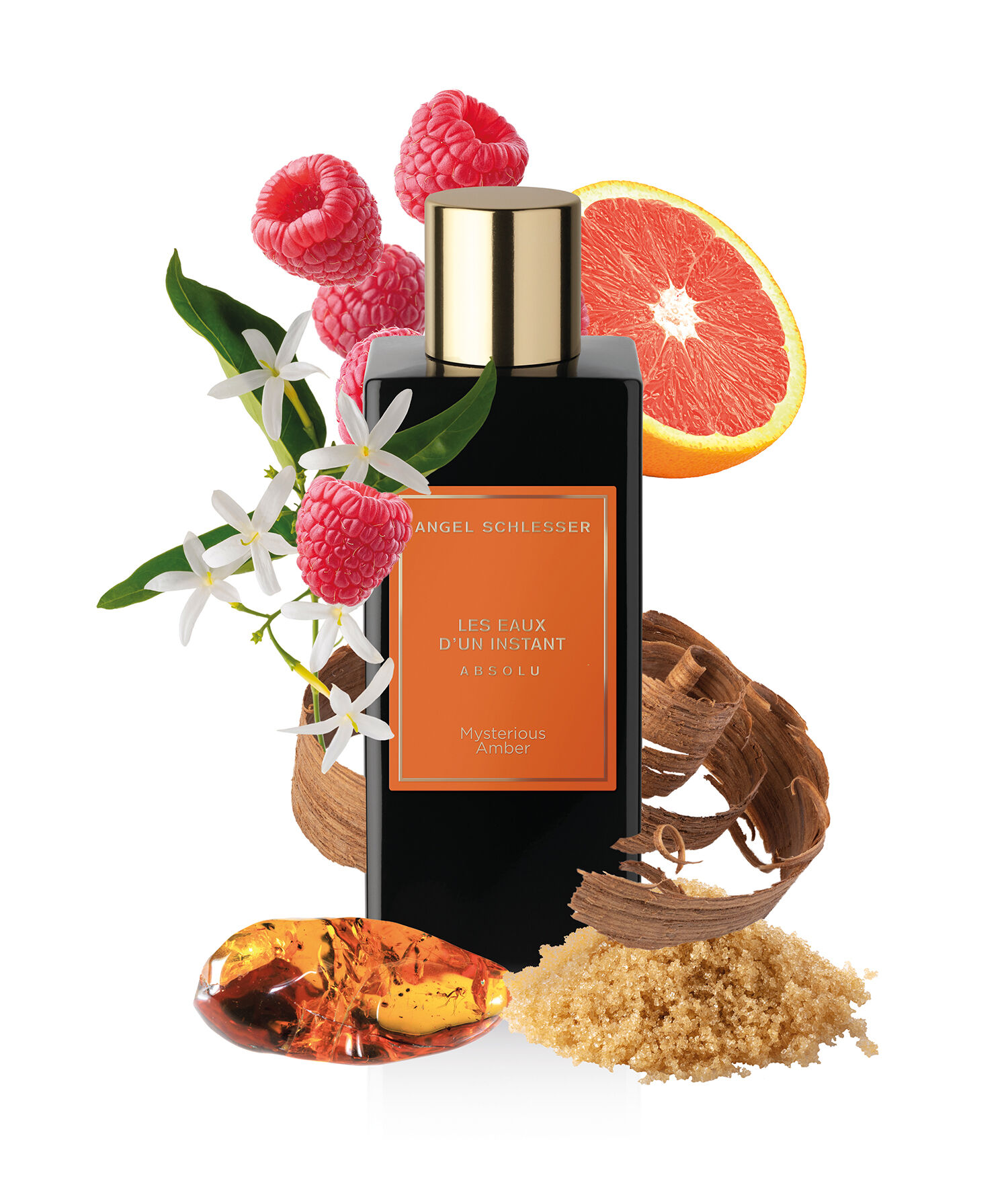 Angel Schlesser Les Eaux d'Un Instant Absolut: Mysterious Amber