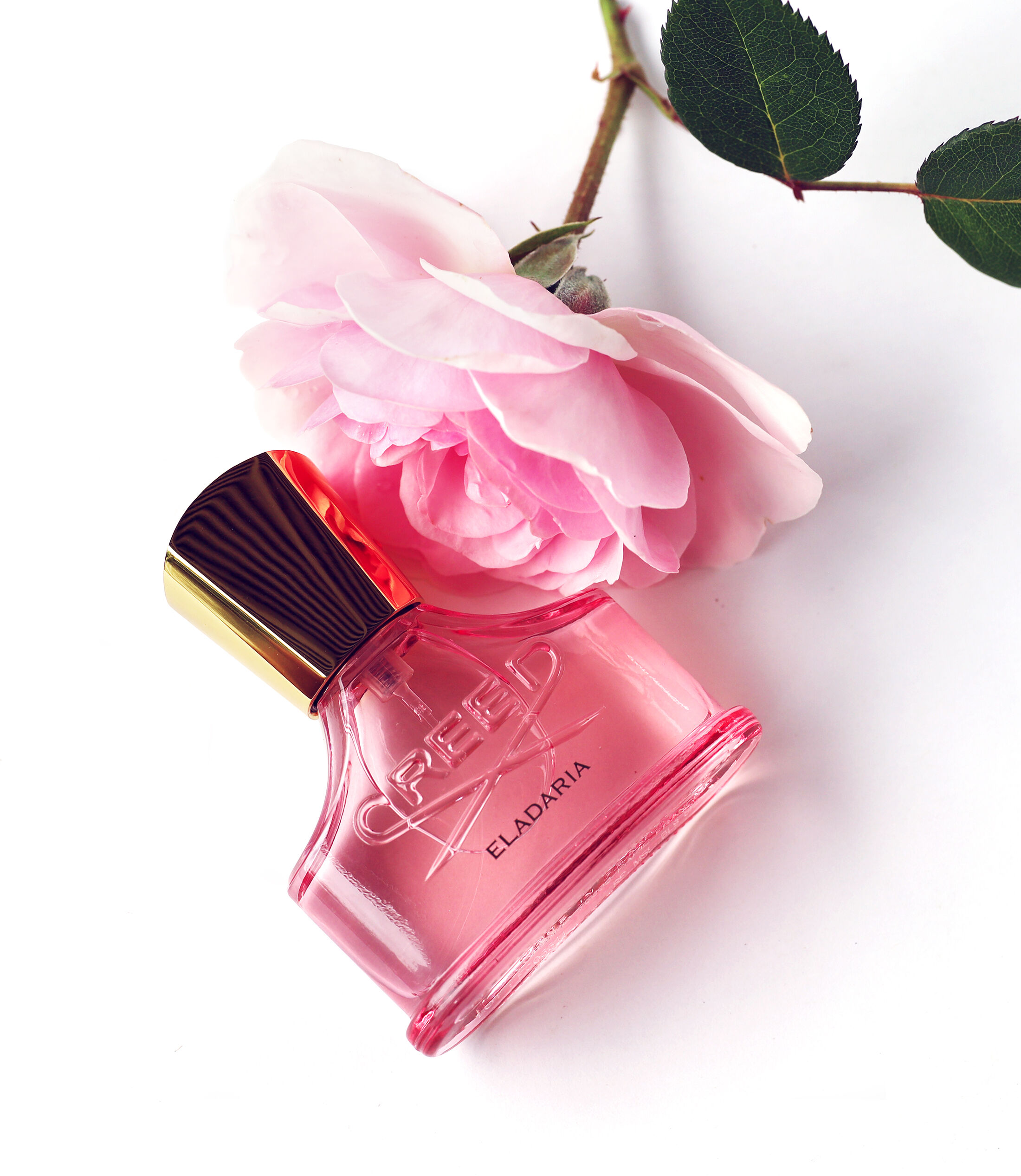 Eladaria by Creed: Refined and Radiant