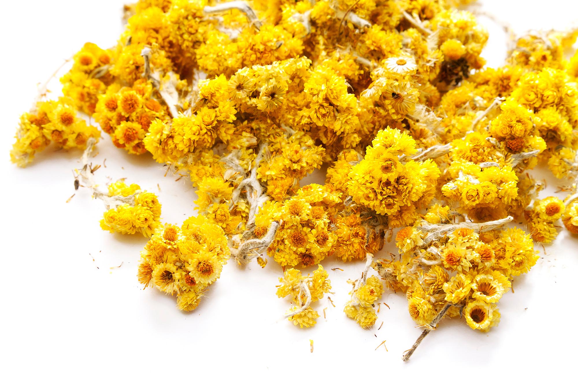 Immortelle flowers.