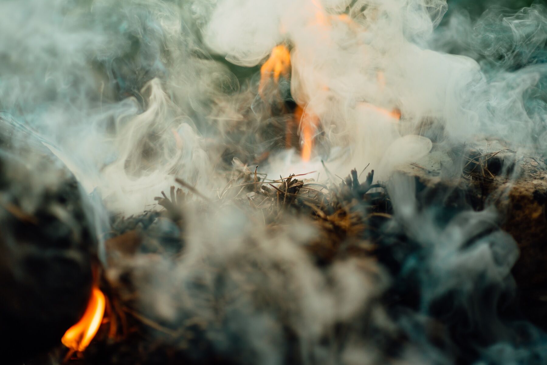 Smouldering leaves