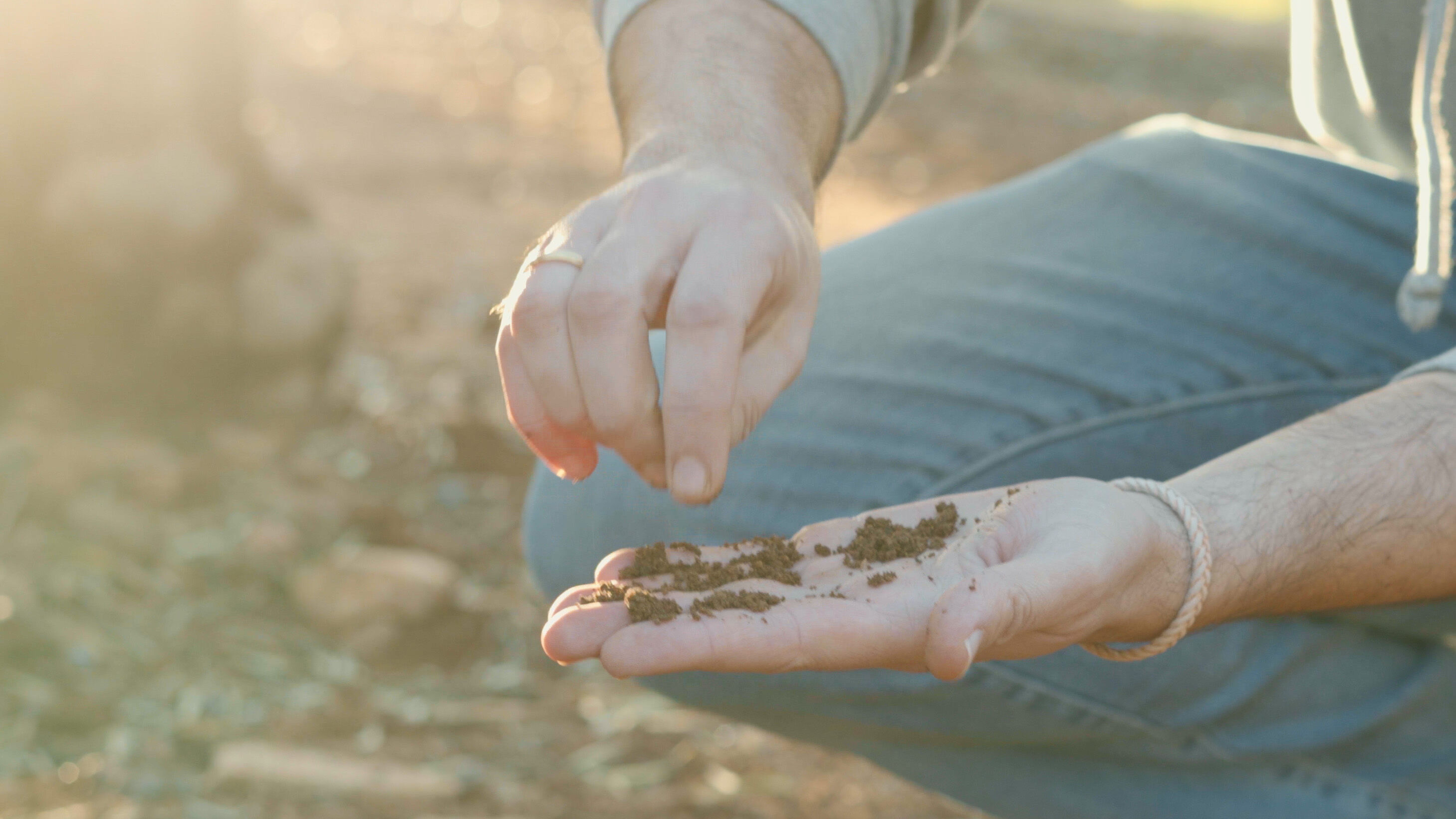 EUROFRAGANCE Introduces Olivante®: A Sustainable, Opulent Perfumery Ingredient