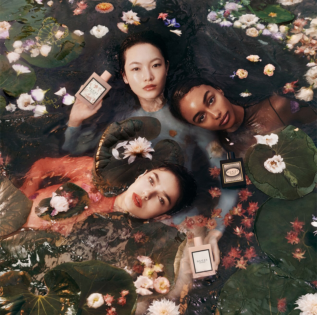 gucci bloom collection