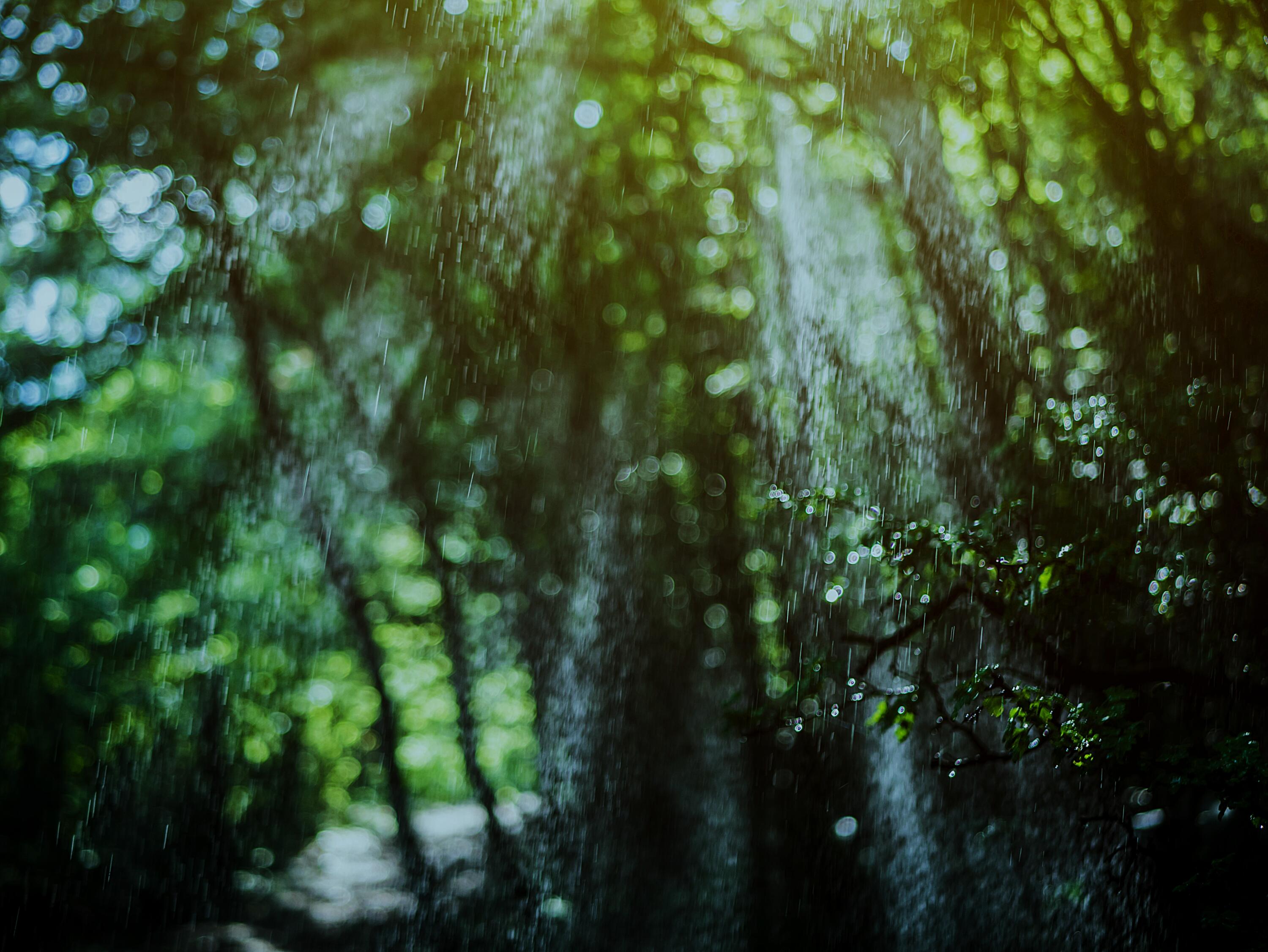 Sakamoto 龍一 Fukudo 浮香堂 女性用・男性用香水