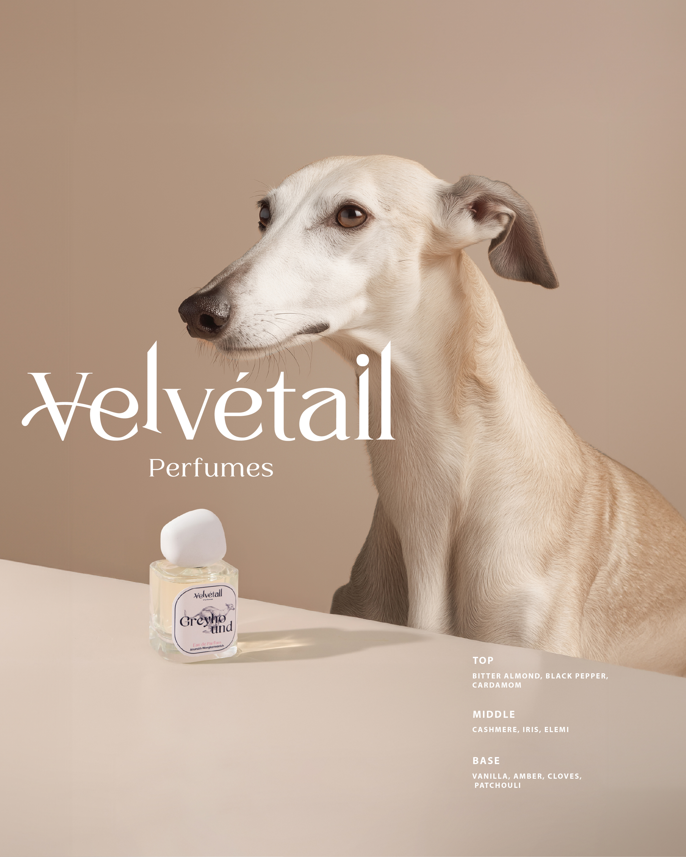 Greyhound Velvetail