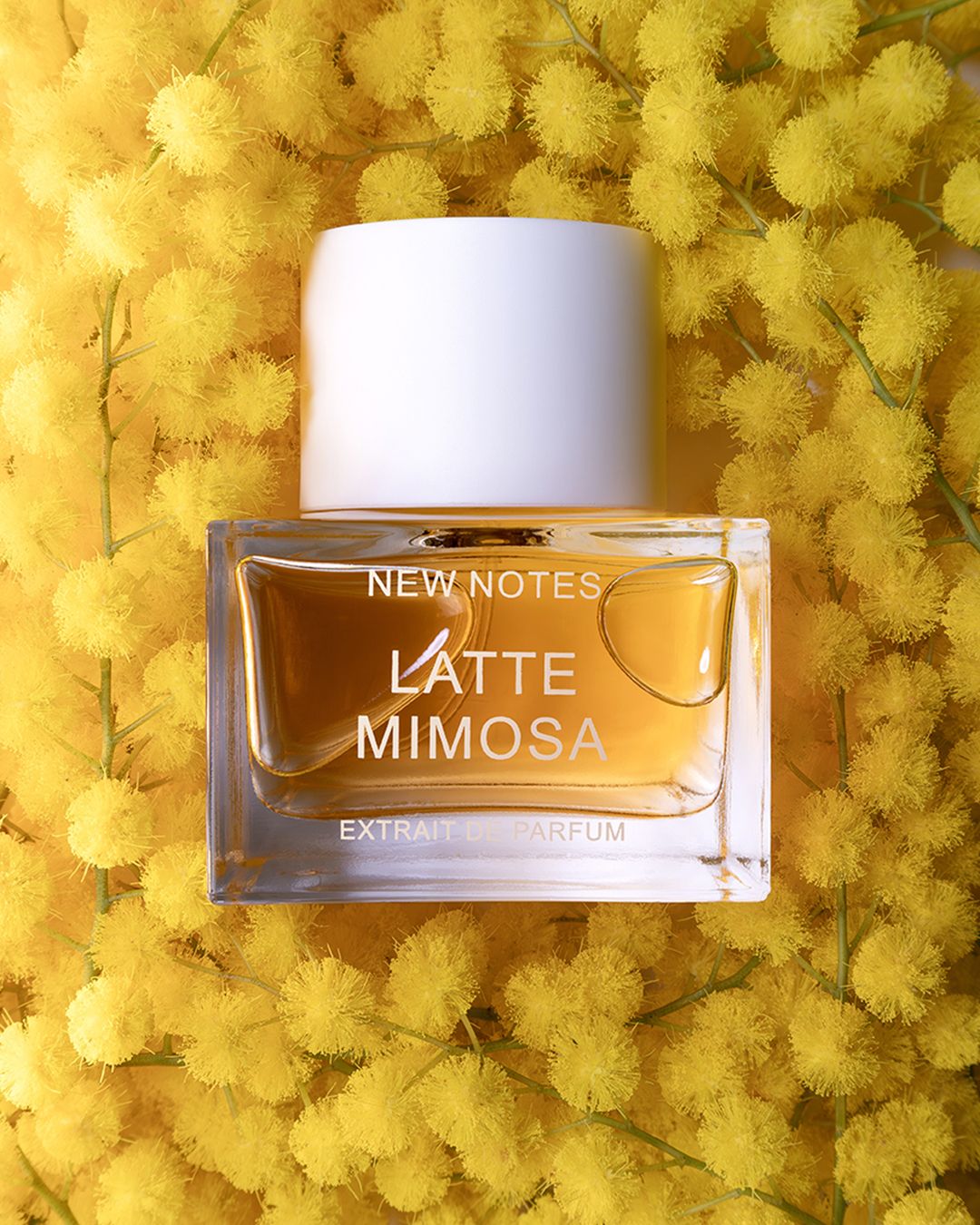 new notes latte mimosa
