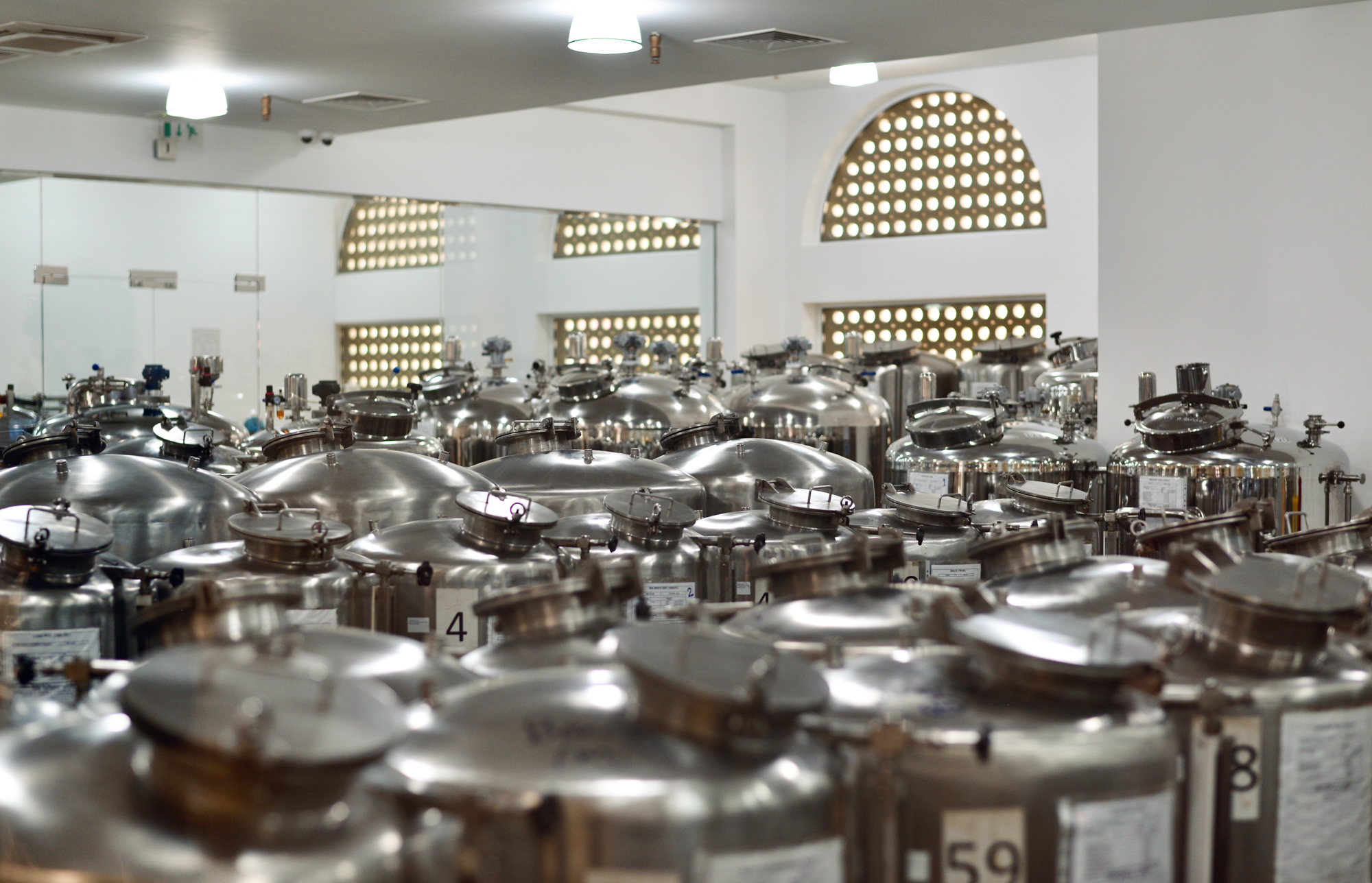 Amouage Voyage или путешествие в удивительный Оман. Часть 1. Ладан