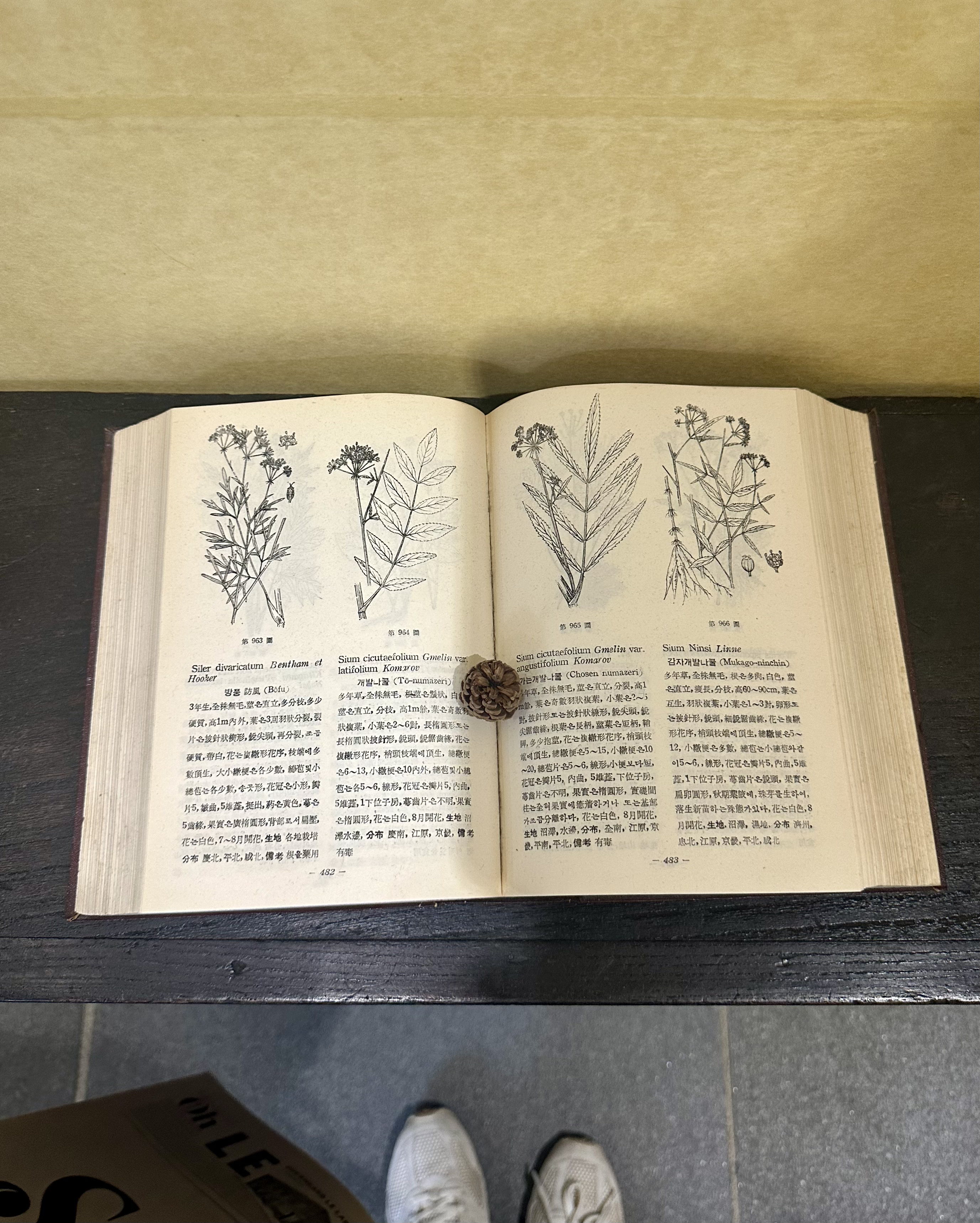 Citron 28 Seoul, Le Labo: voňavý suvenýr z Koreje