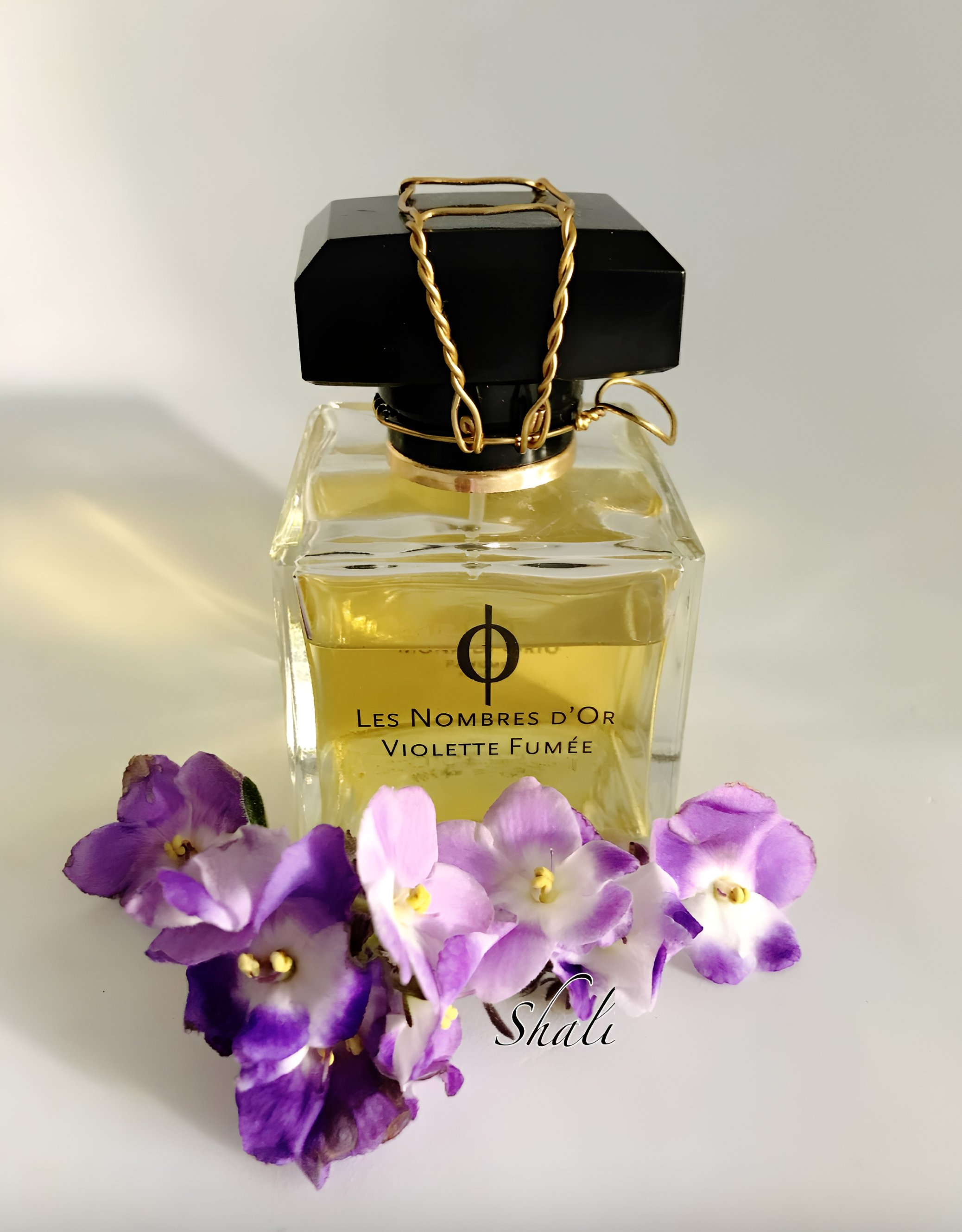 Mona di Orio Violette Fumee