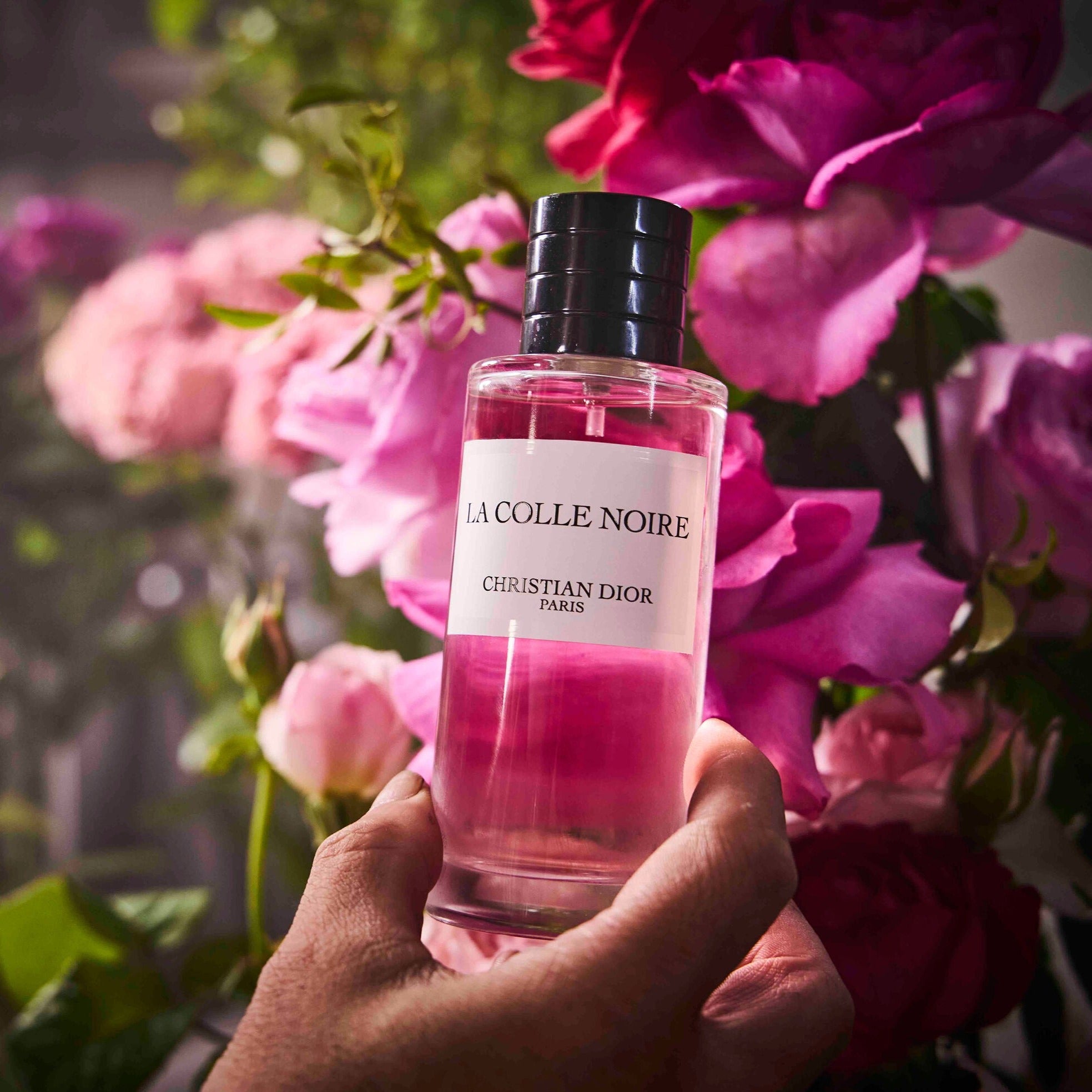 Persoonlijk slepen horizon Dior's La Colle Noire: As Delicate a Rose as You'll Ever Smell ~ Fragrance  Reviews