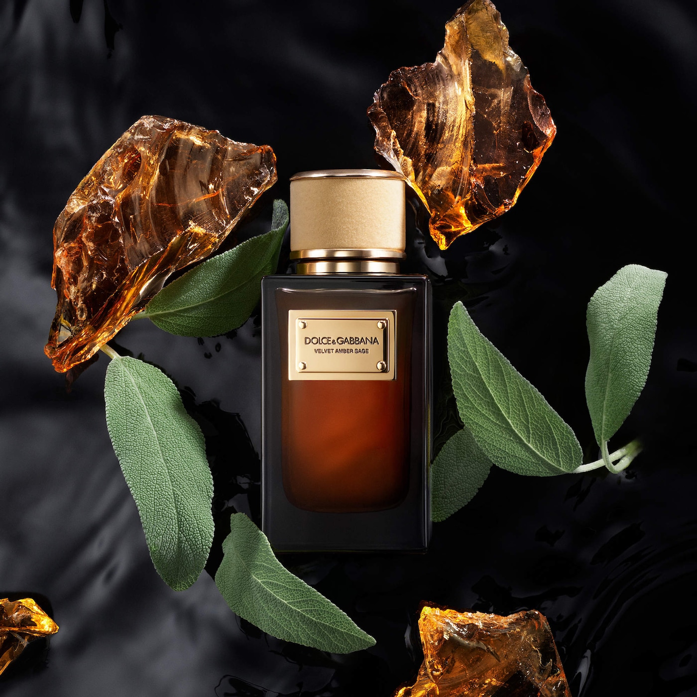 Dolce&Gabbana Velvet Amber Sage bottle