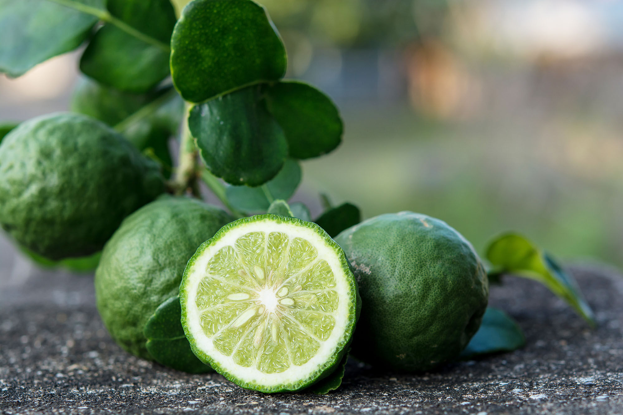 Bergamot fruits.