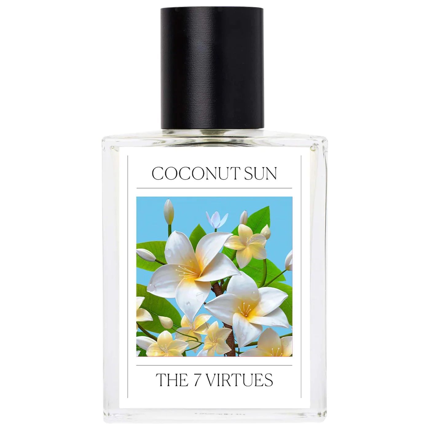coconut sun the 7 virtues