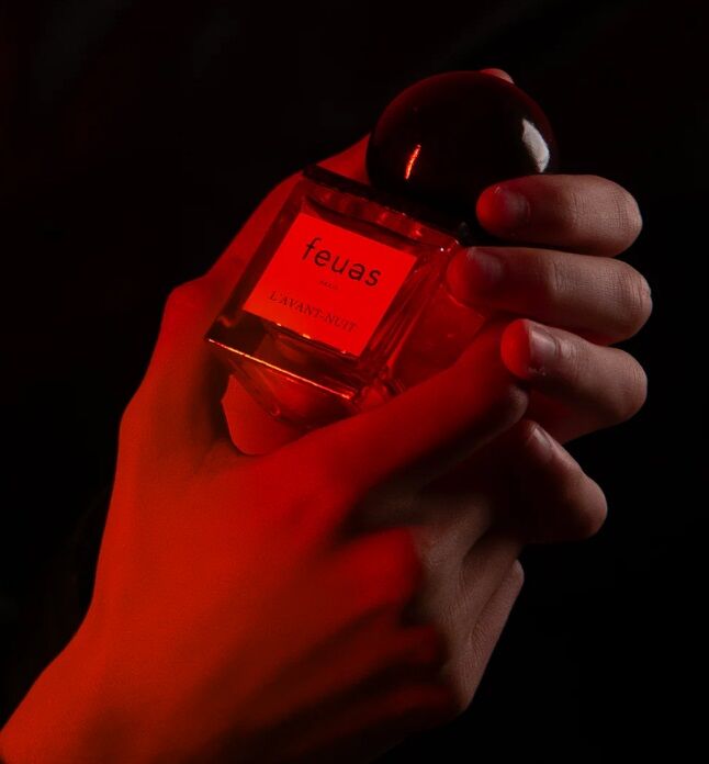 Feuas L'Avant-Nuit