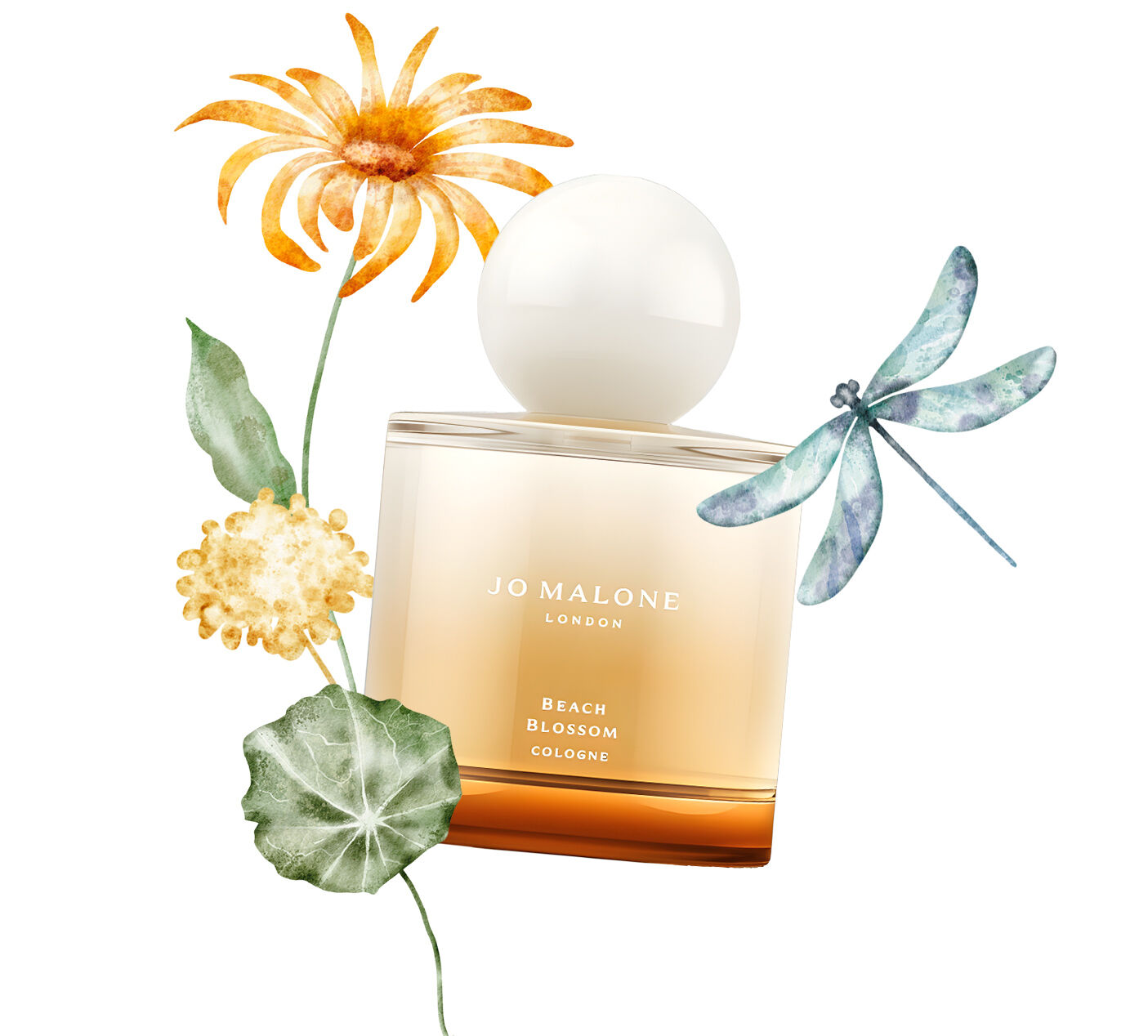 Beach Blossom by Jo Malone