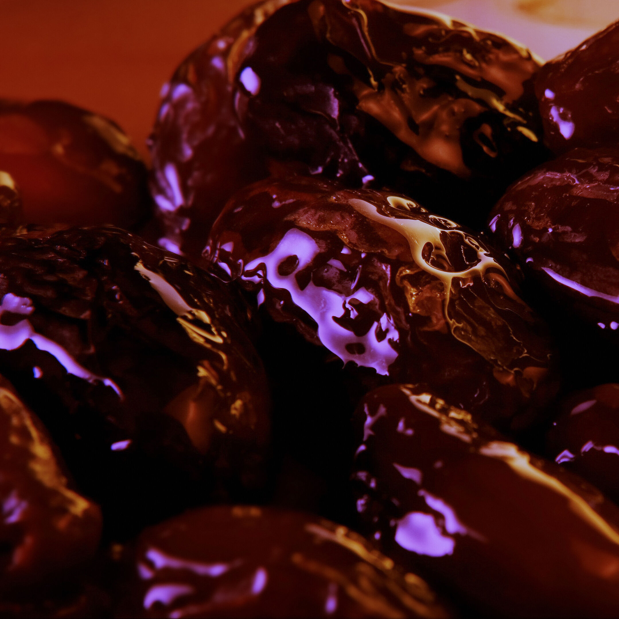 Oud Cadenza Maison Crivelli