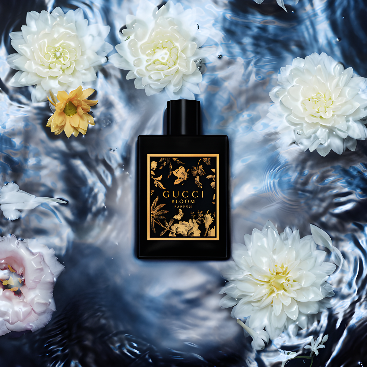 gucci bloom parfum