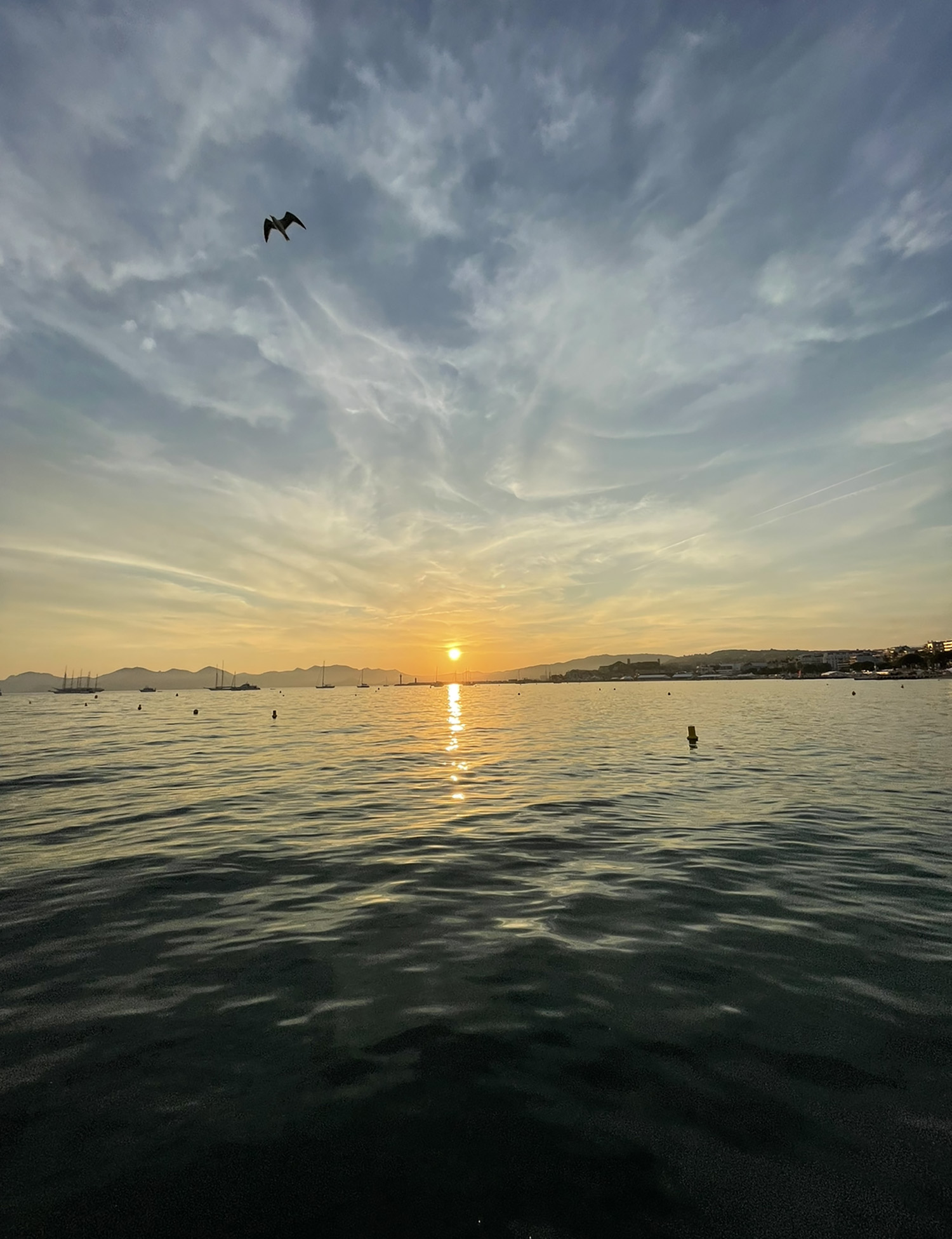 CANNES SUNSET