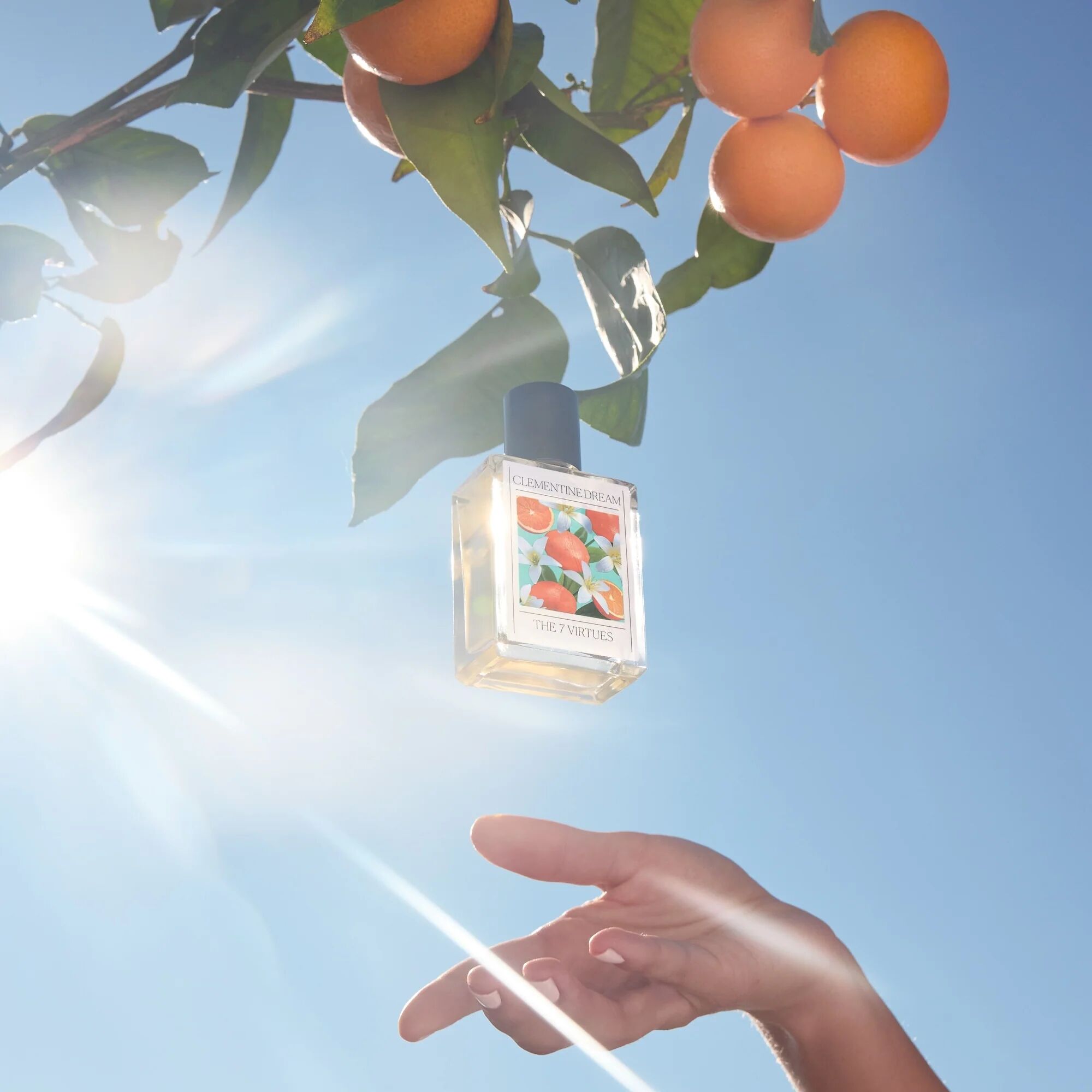 Clementine Dream by The 7 Virtues ad image