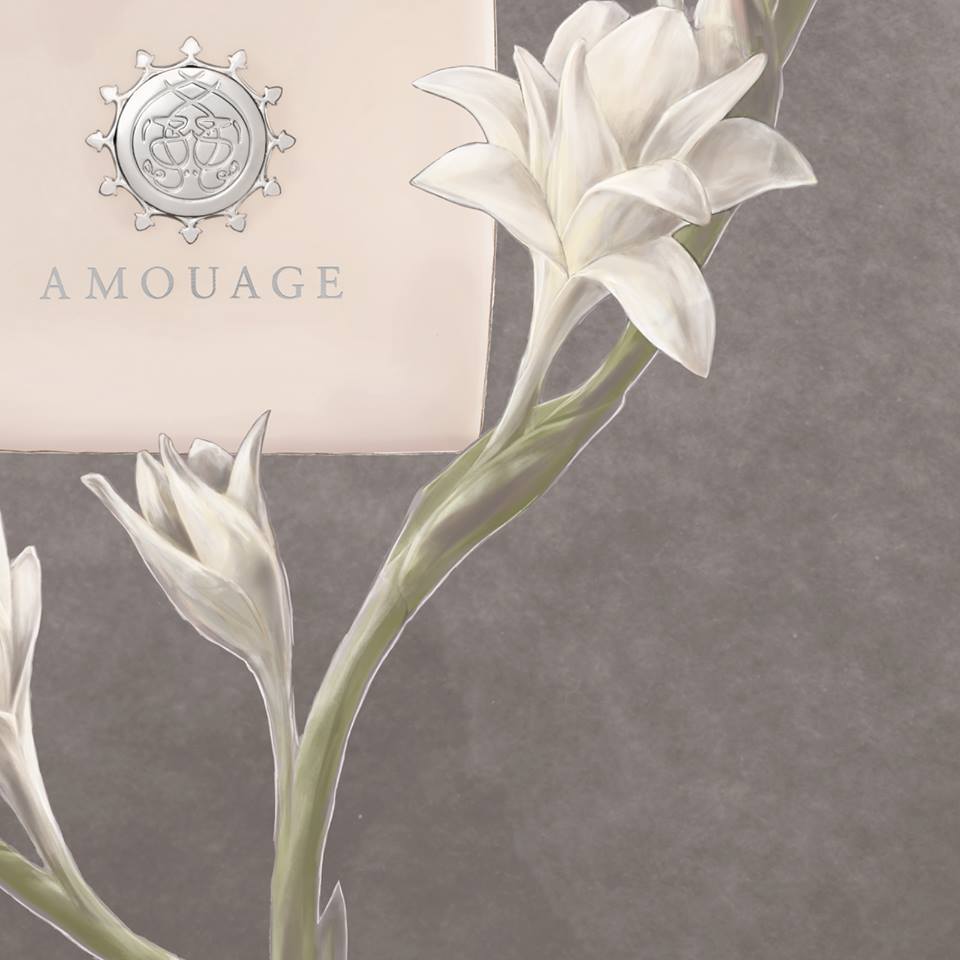 Amouage Love Tuberose Indulgent White Floral Eggnog Fragrance