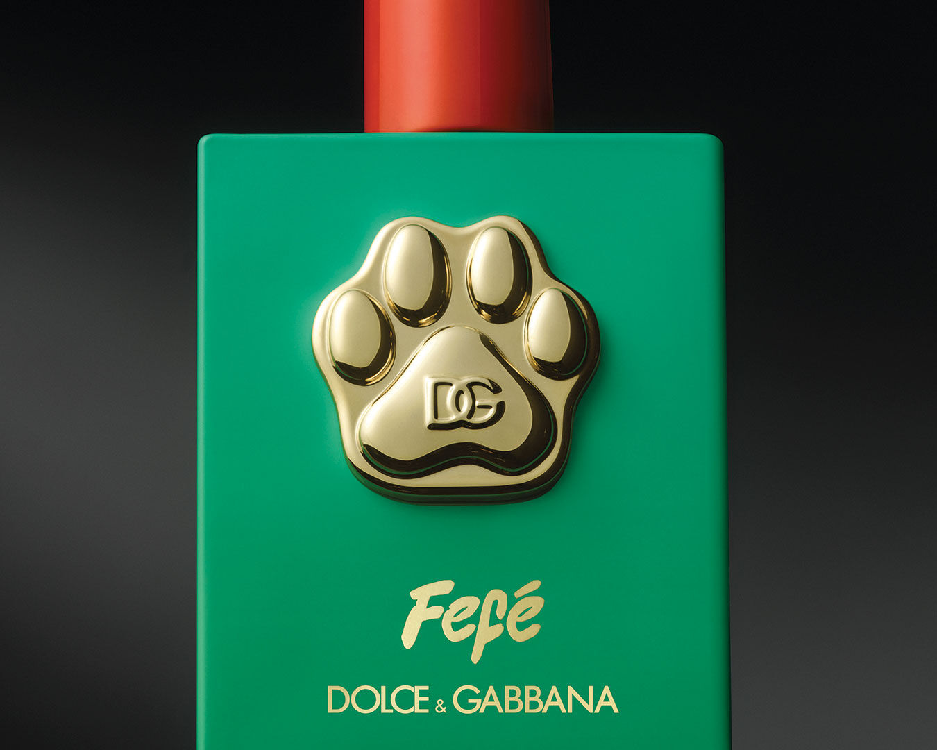 Fefé Dolce&Gabbana