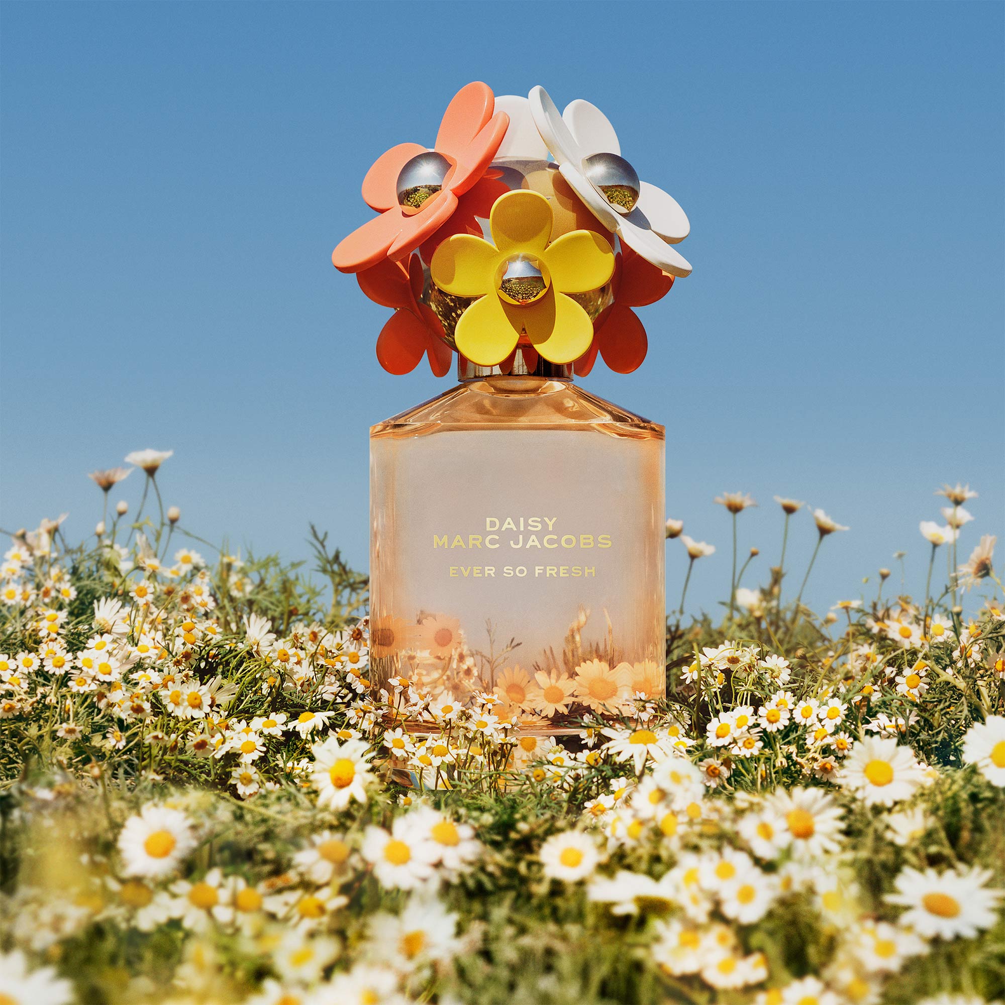 Marc Jacobs Daisy Ever So Fresh: Juicy Mango, Fizzy Mandarin, Dreamy Orange  Blossom ~ Fragrance Reviews