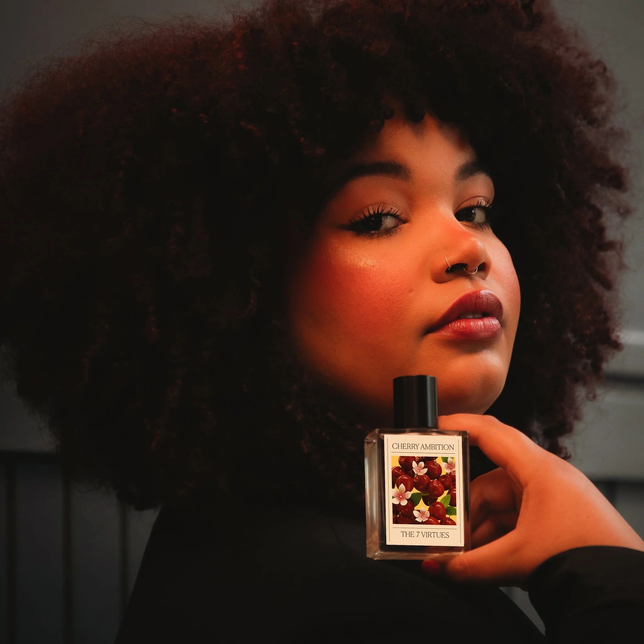 cherry ambition the 7 virtues