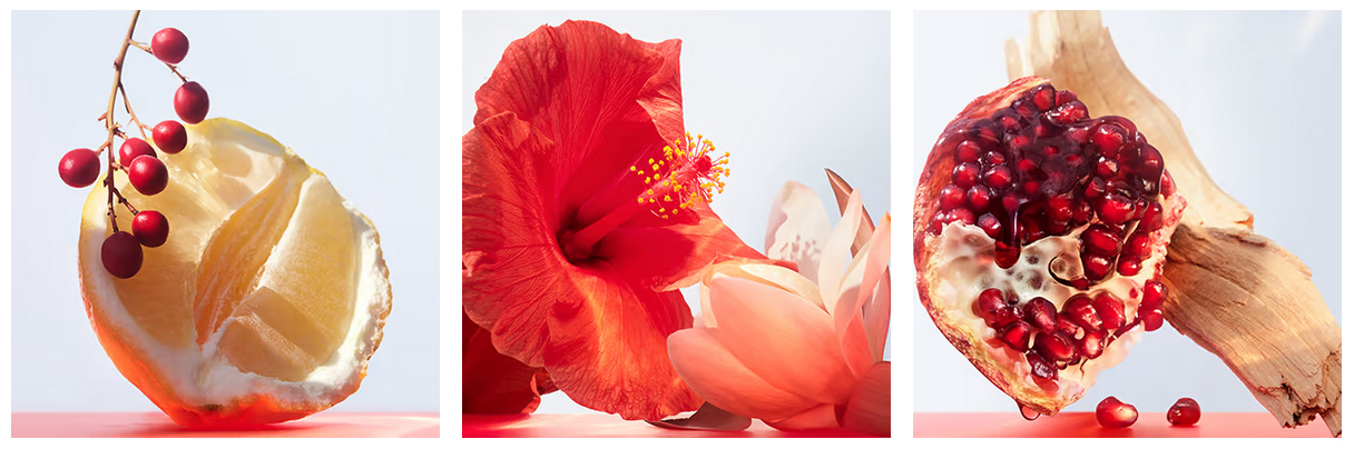 bvlgari omnia coral