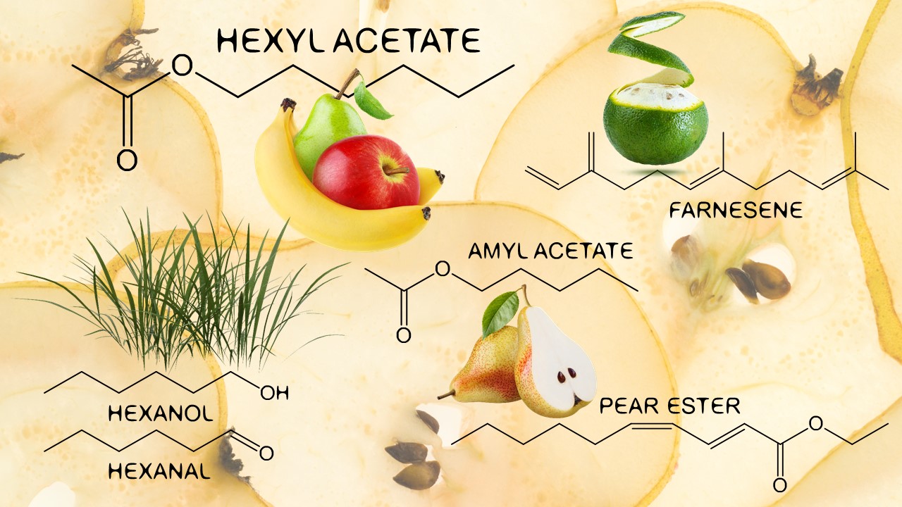 Pears Chemistry – naturals