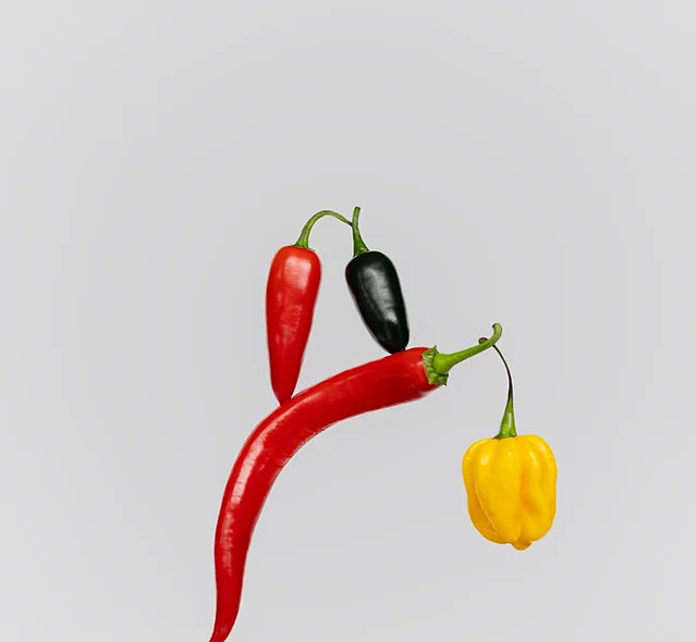 Pepper Party