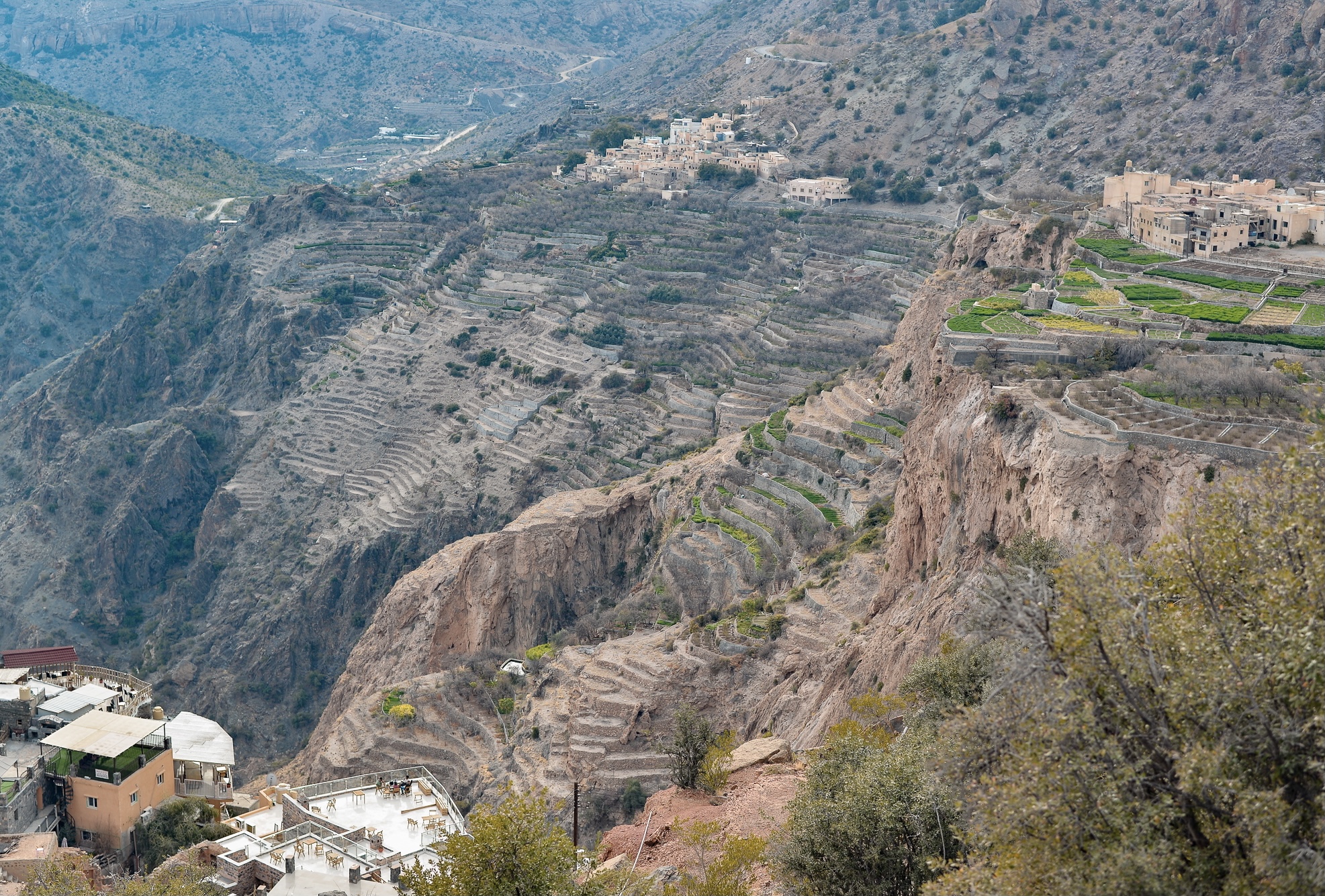 Scented Journey by Omanluxury to the Land of Fragrances