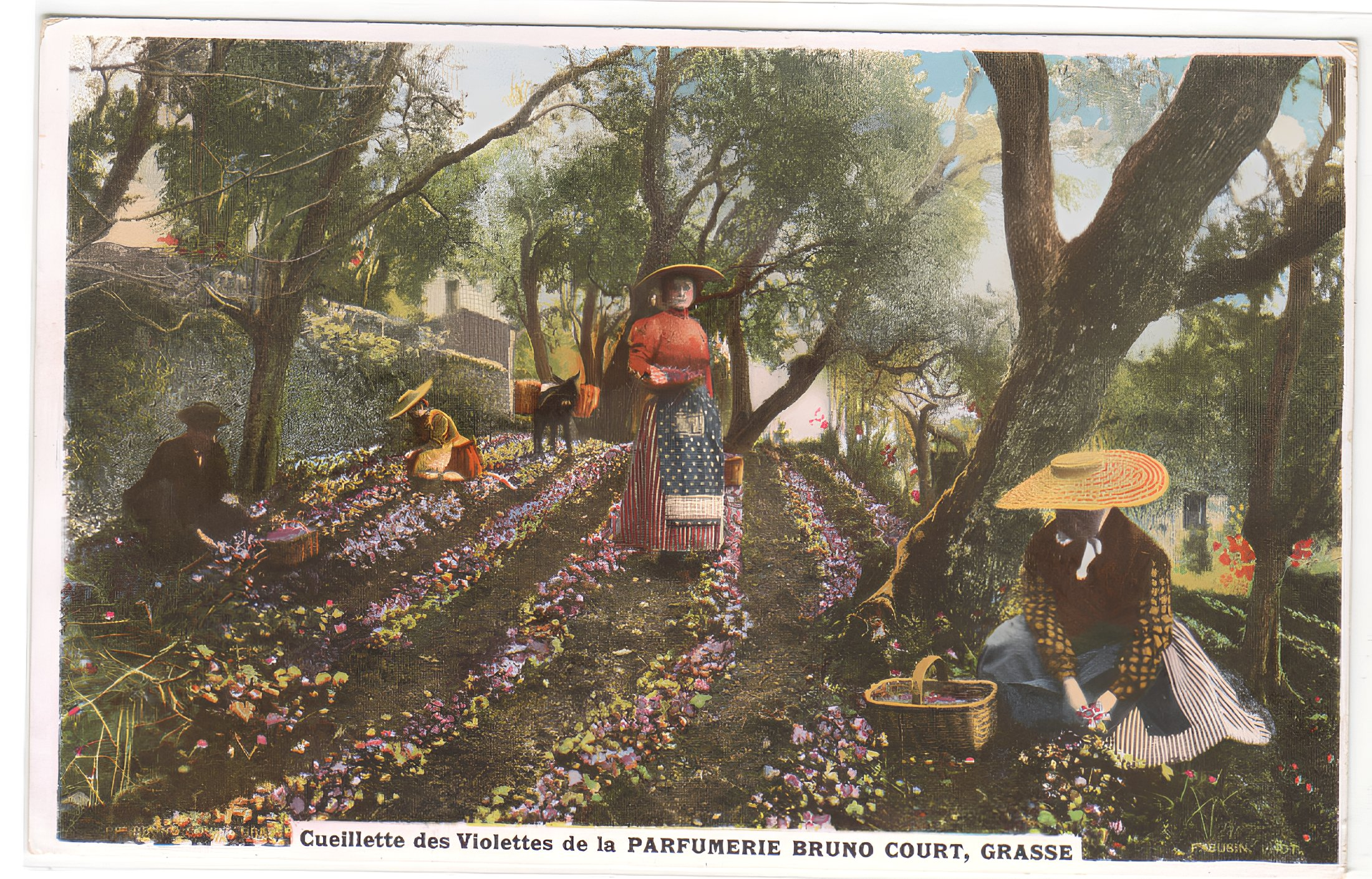 Как начинался парфюмерный двадцатый век