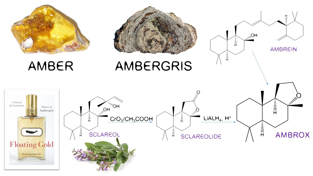 Ambergris, Ambrox and Ambroxan of the Year ~ Raw Materials